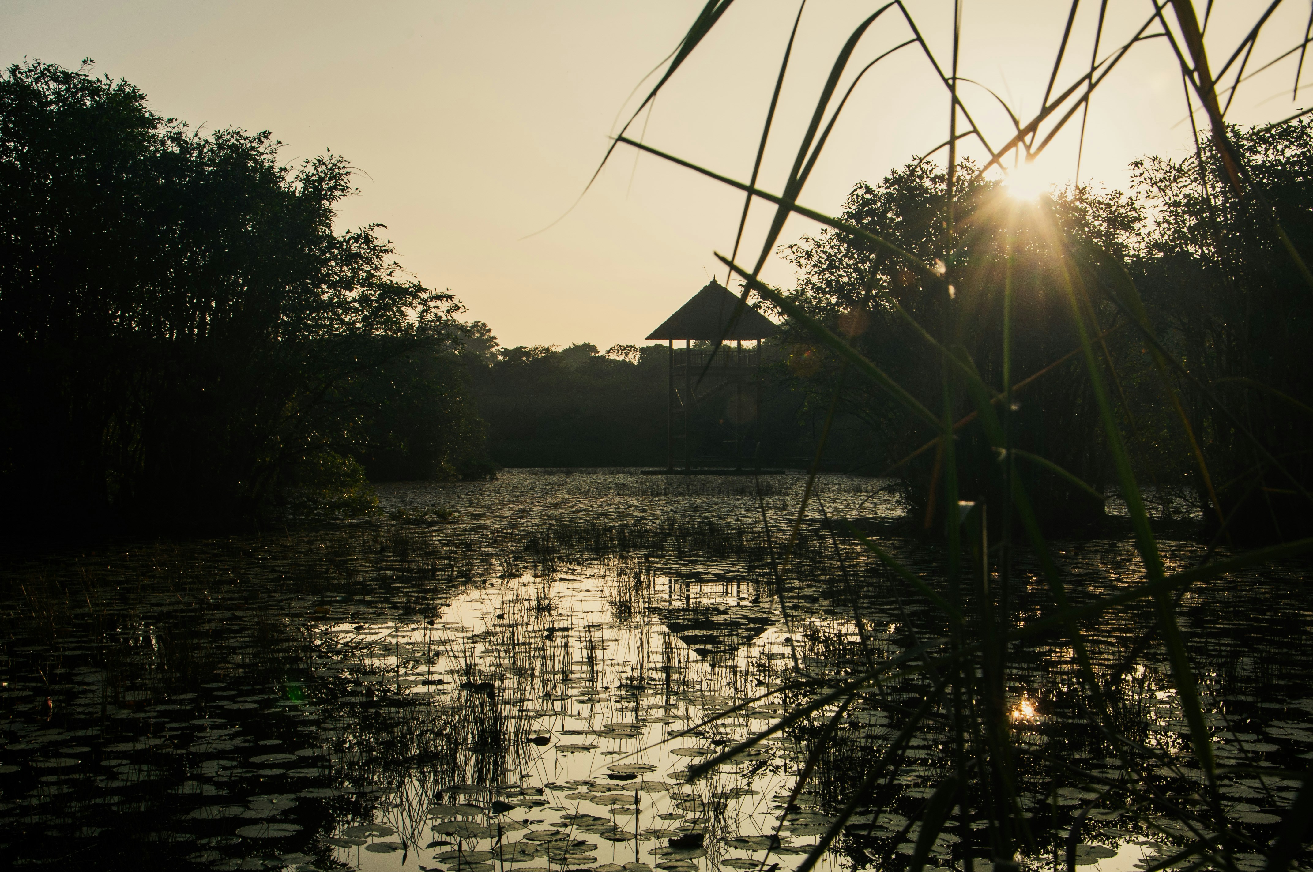 Photo by yanukadeneth99