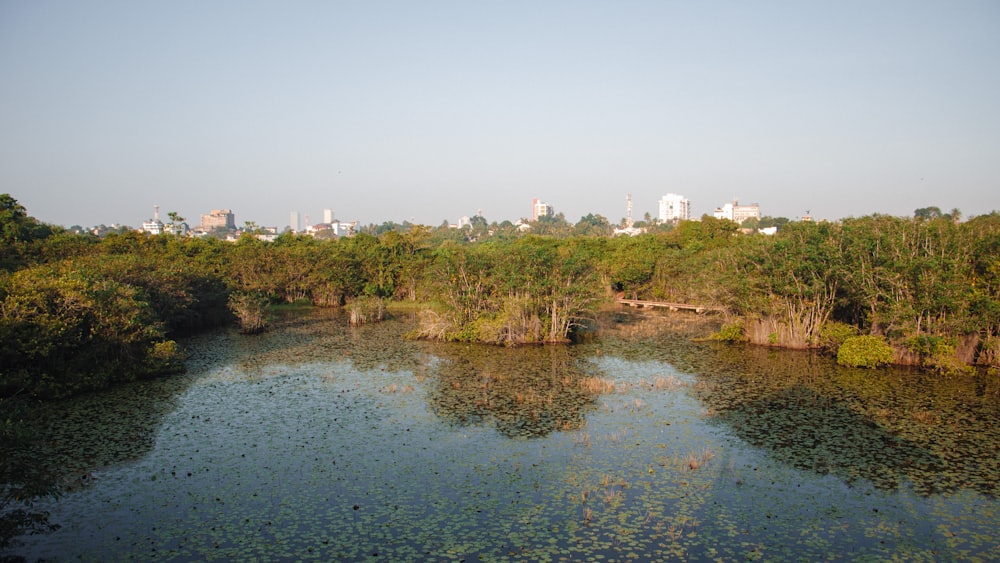 a body of water surrounded by trees and buildings