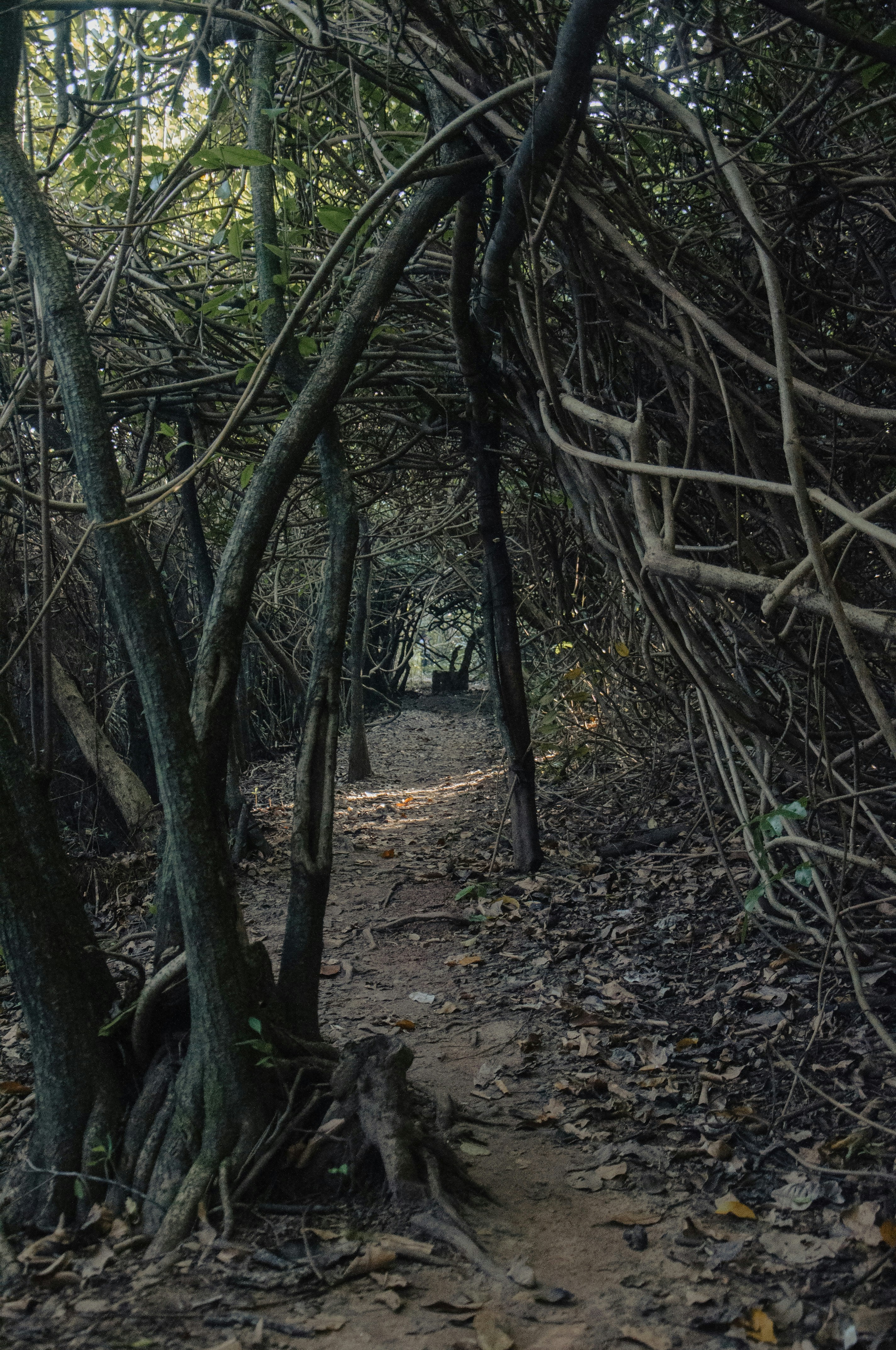 Photo by yanukadeneth99