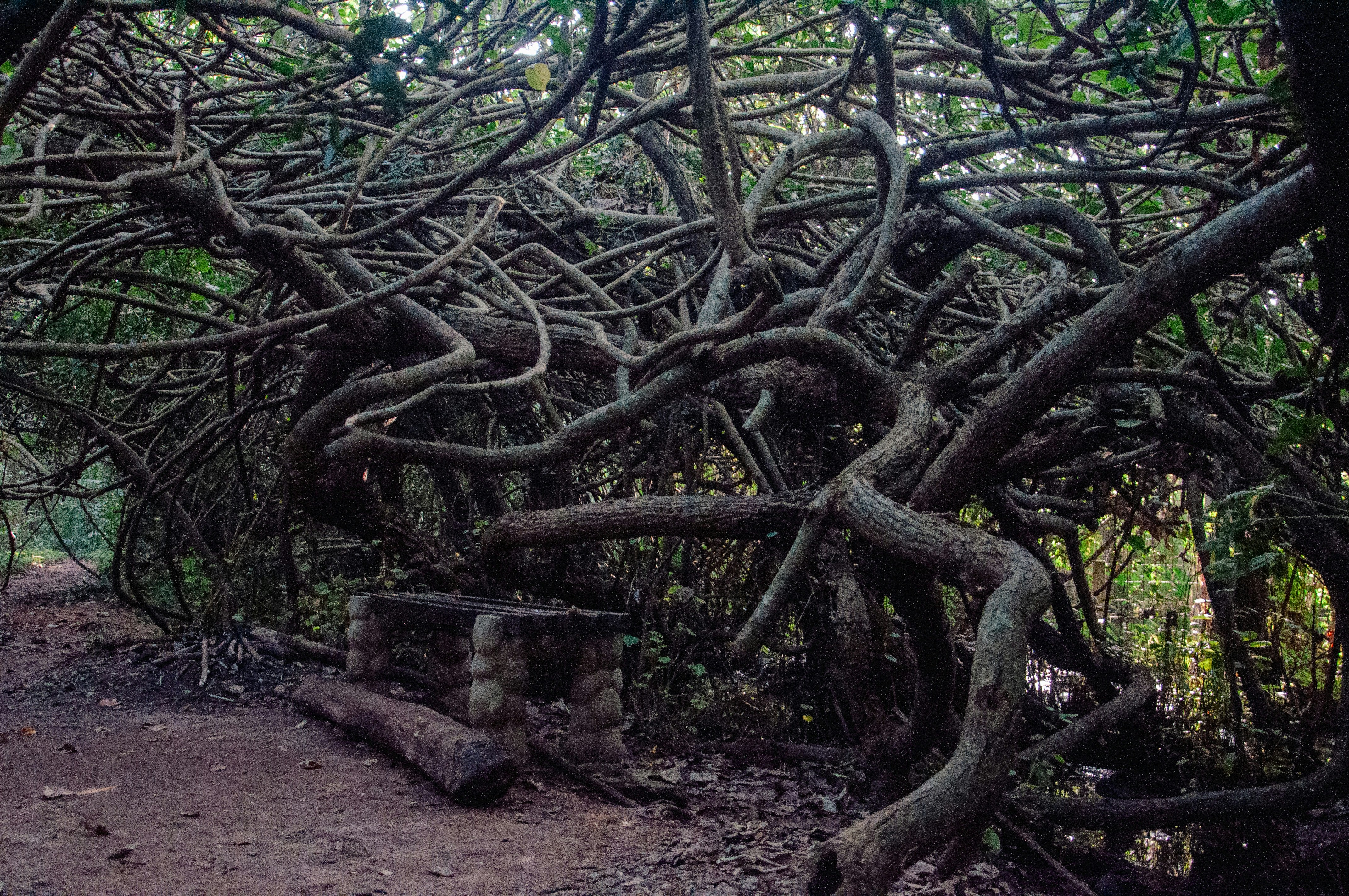 Photo by yanukadeneth99