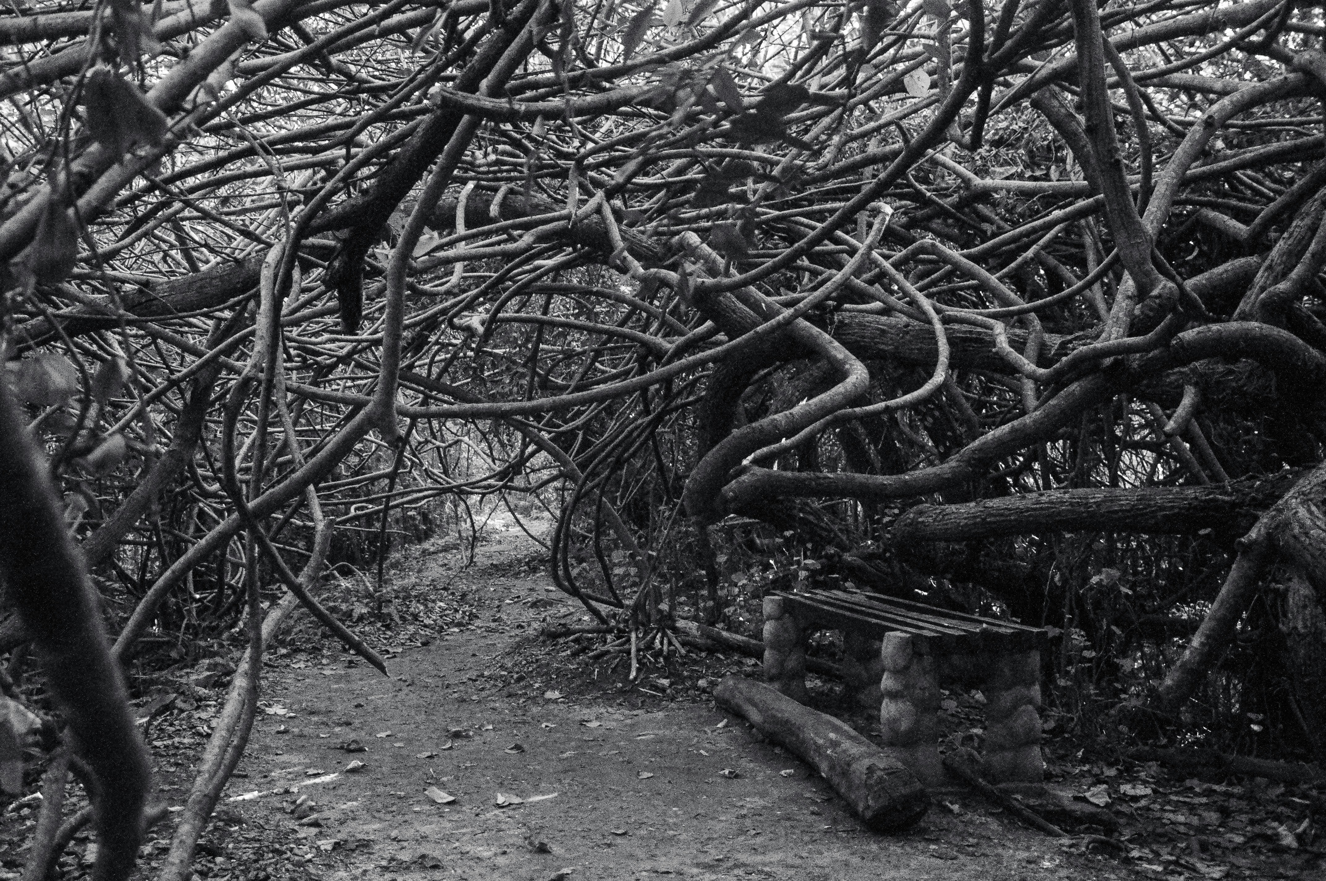 Photo by yanukadeneth99