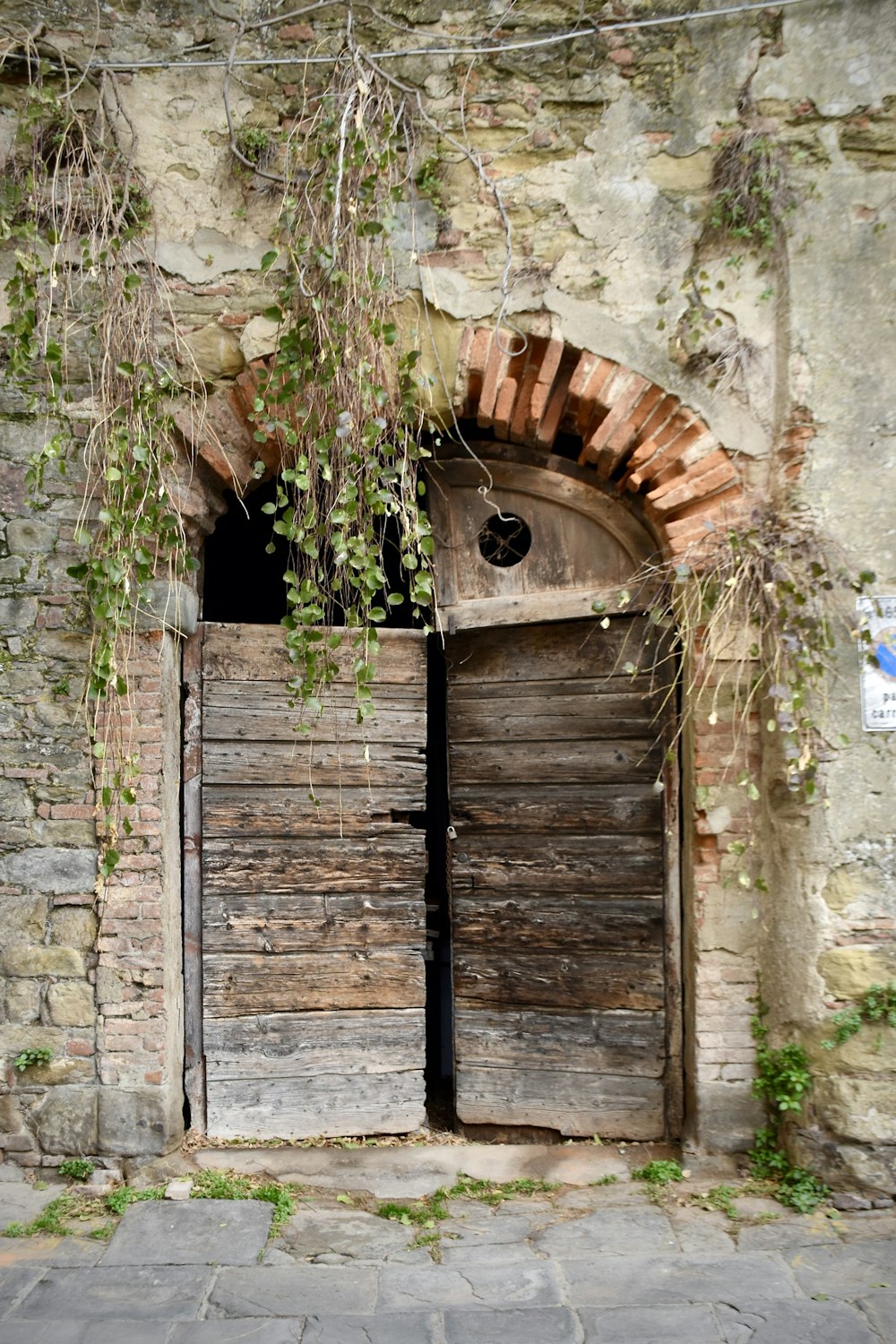 an old door with vines growing over it