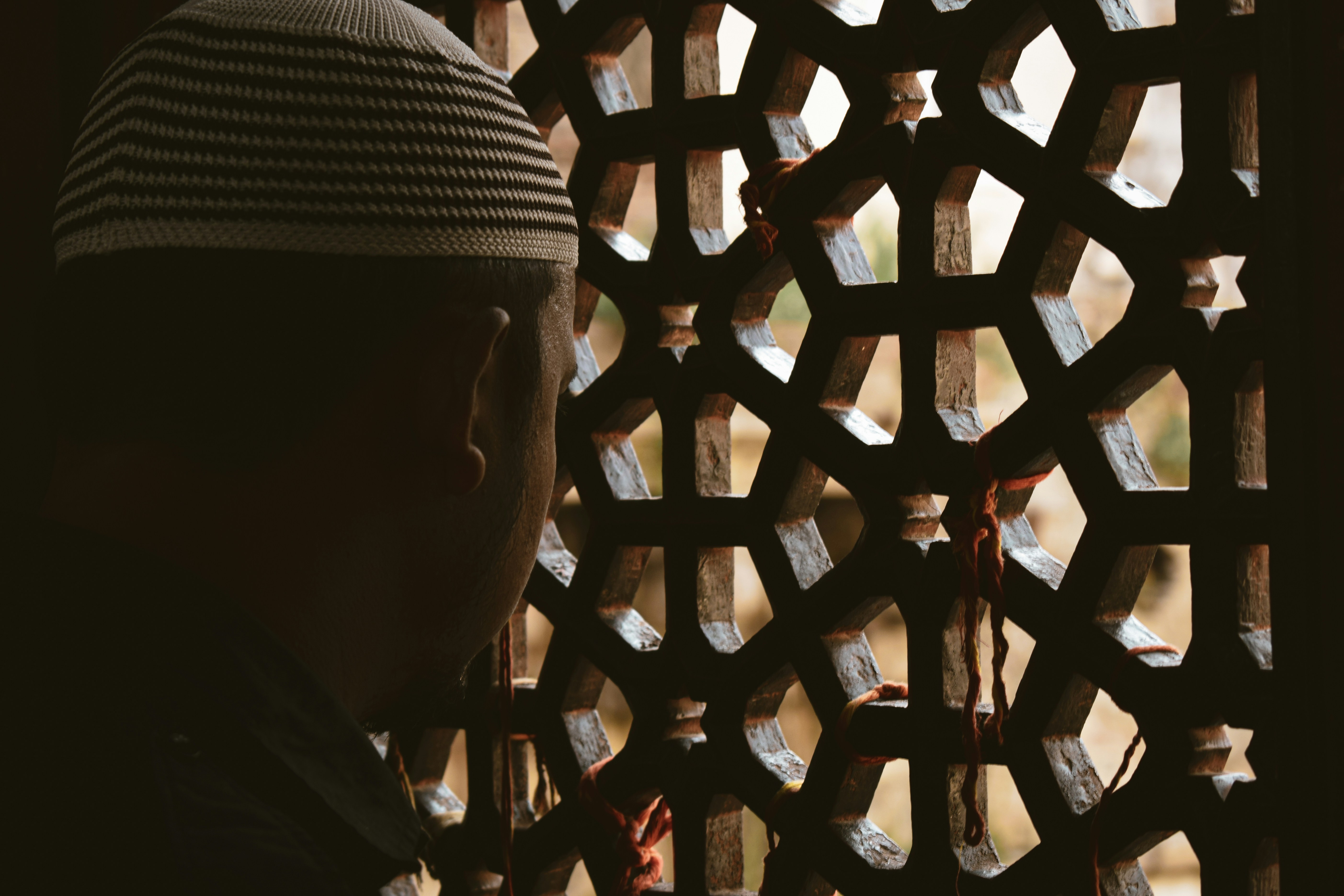 Photo by lalitkrishna