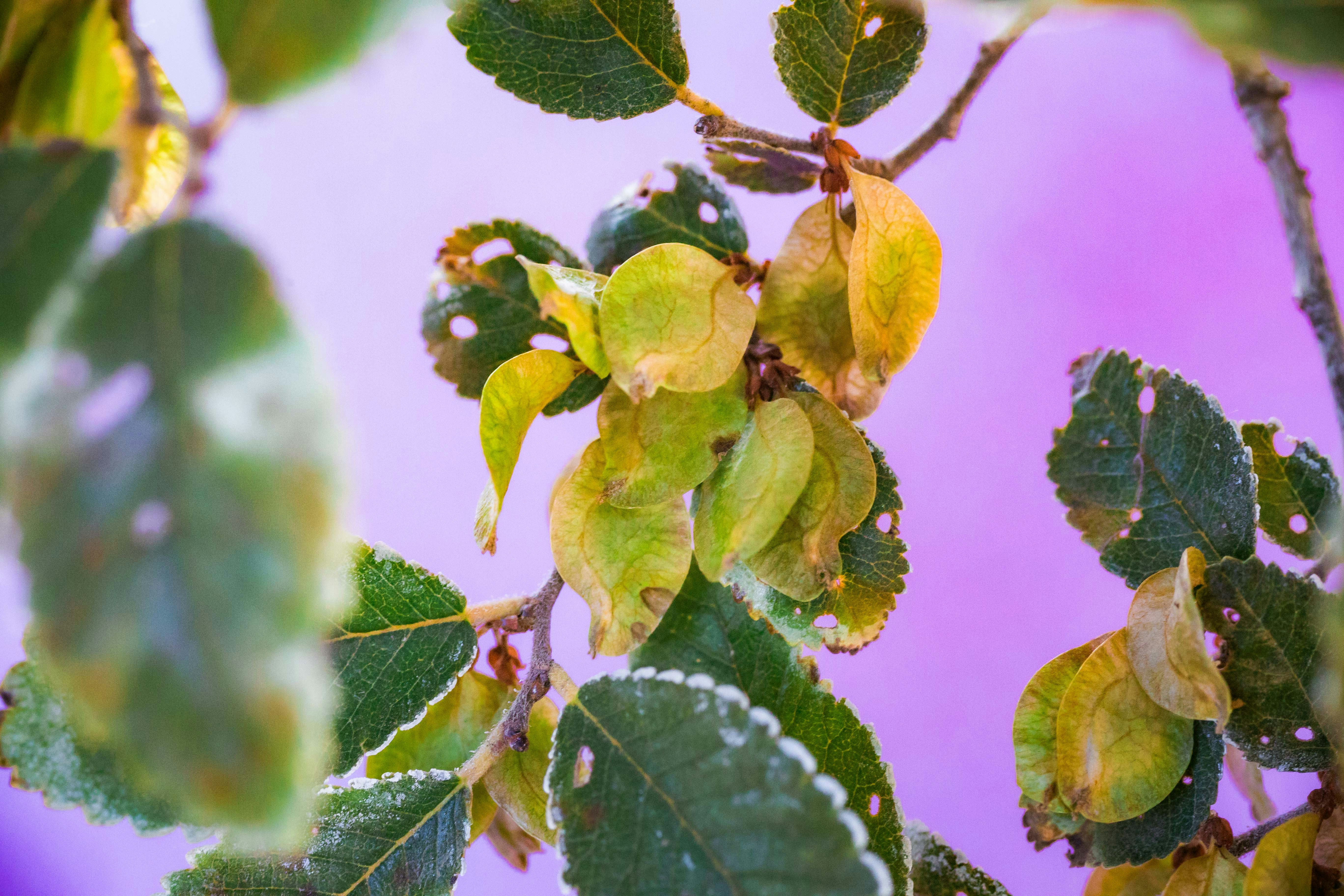 Photo by chaseanderton