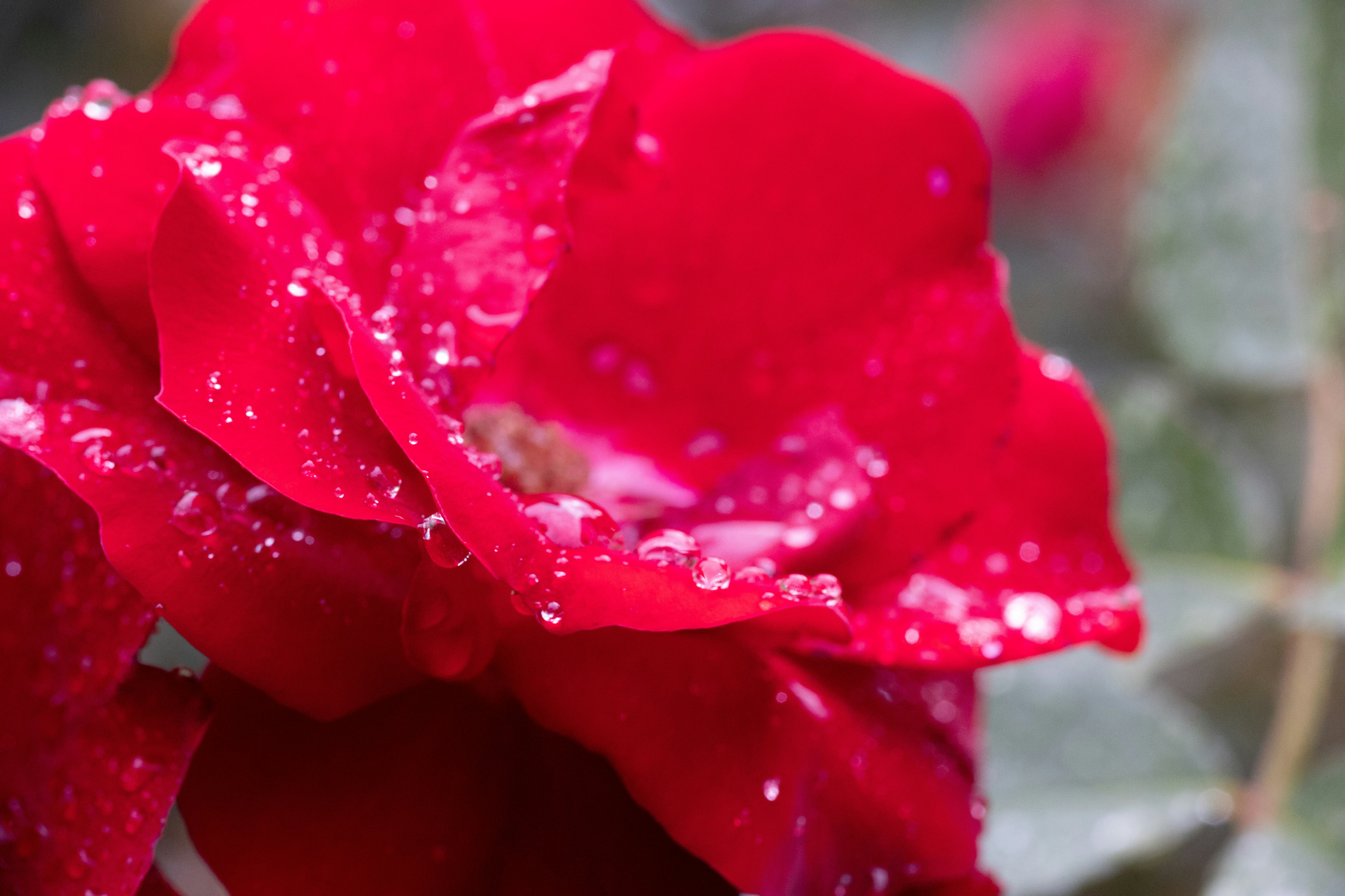 Photo by chaseanderton