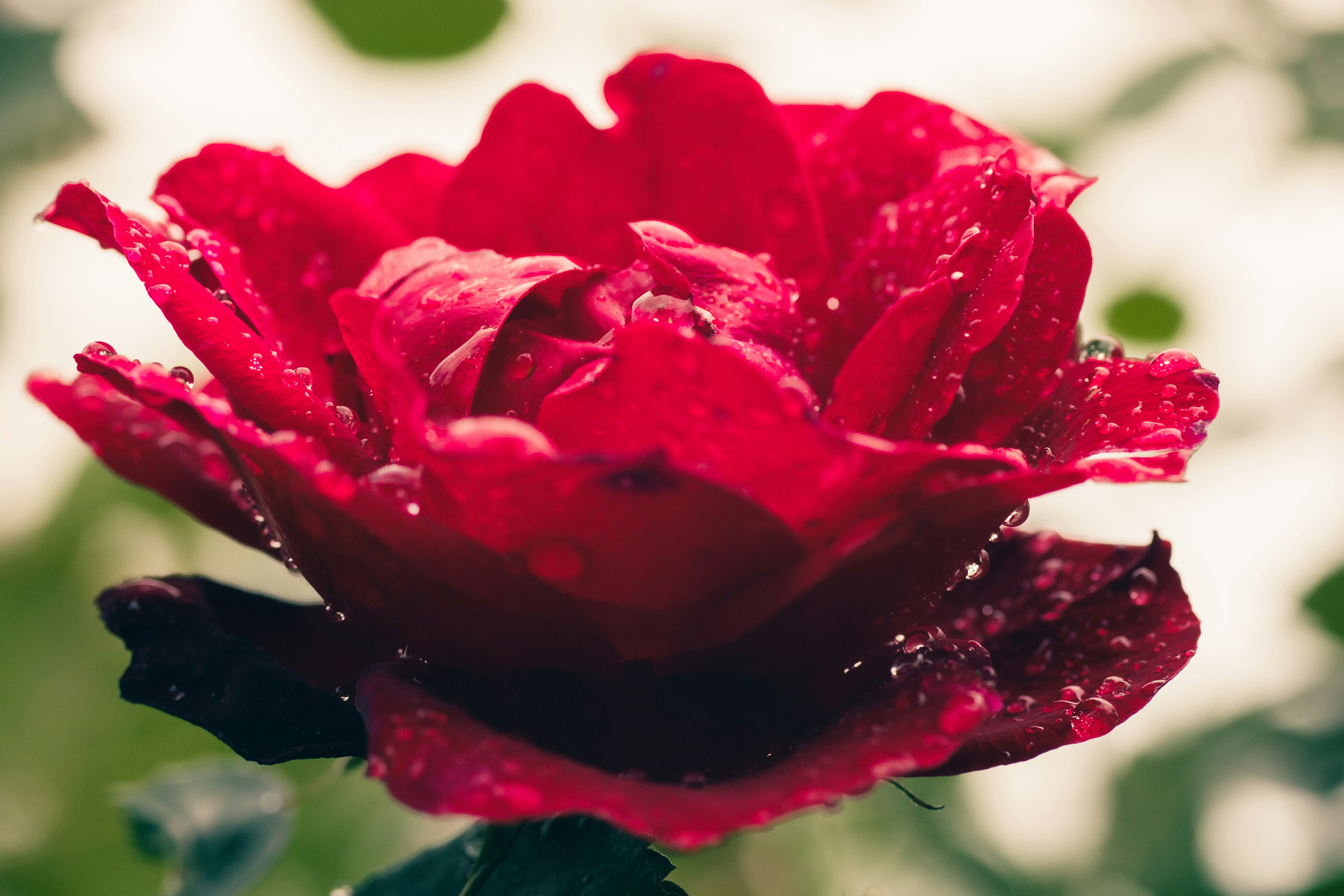 Photo by chaseanderton