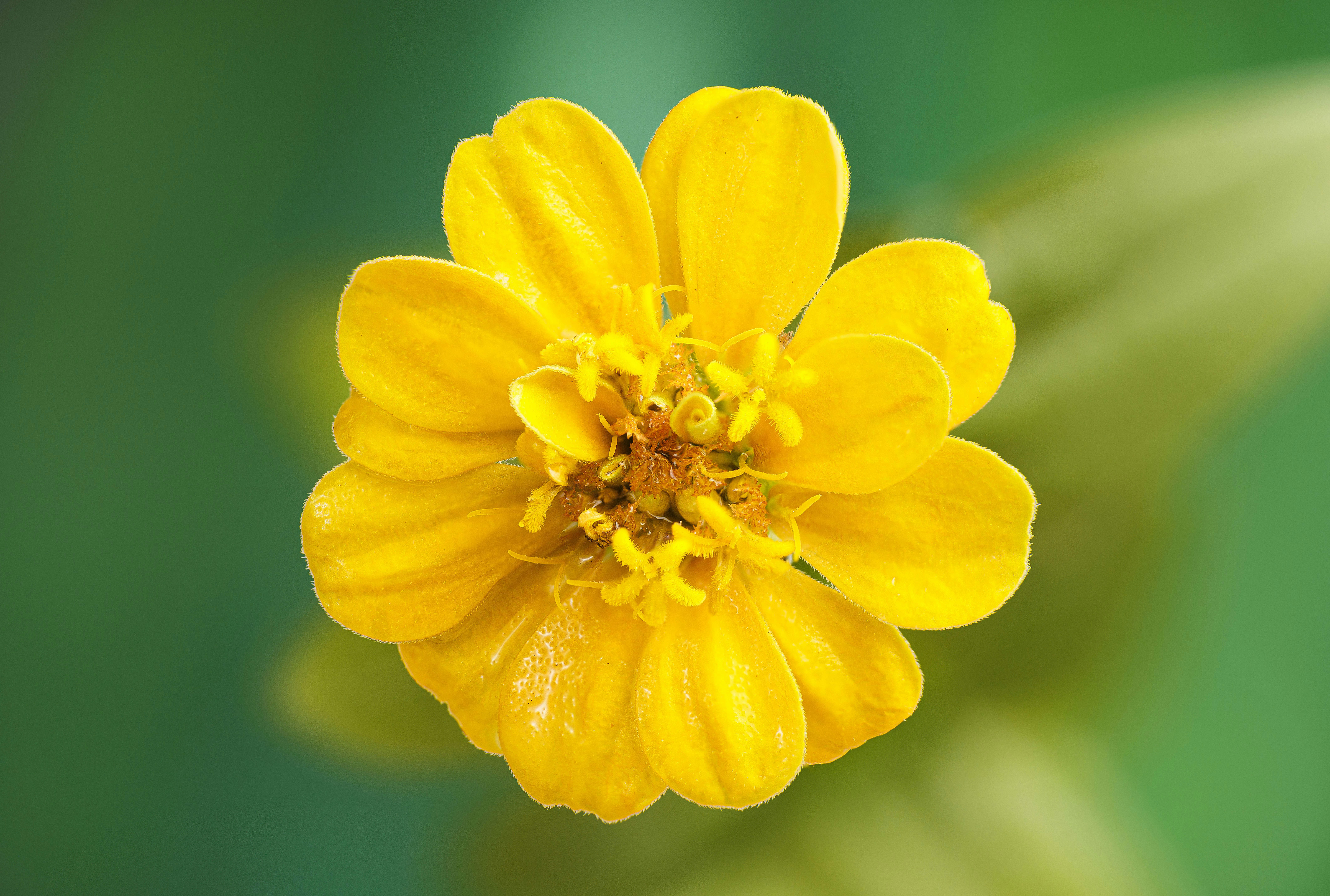 Photo by chaseanderton