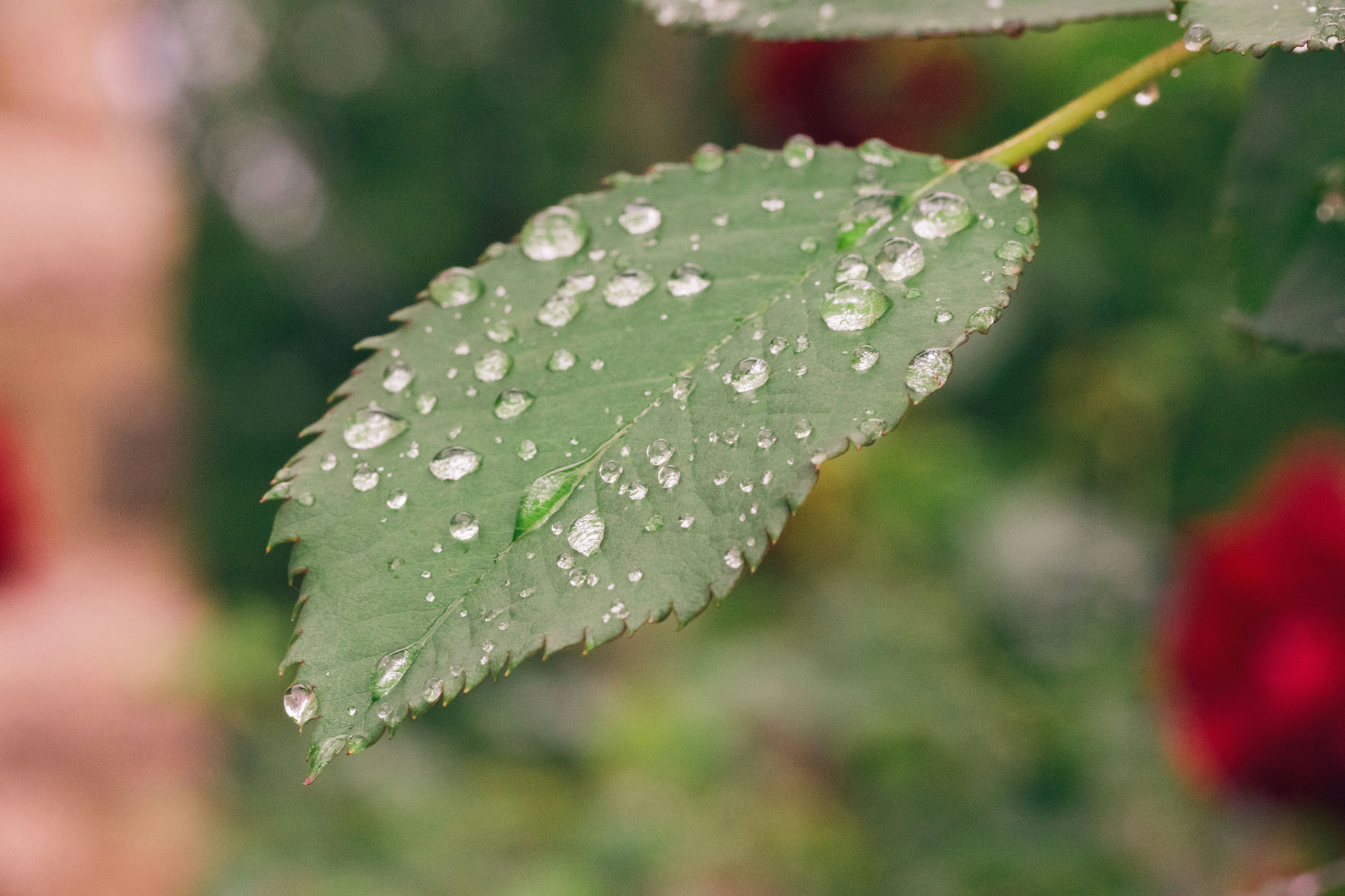 Photo by chaseanderton