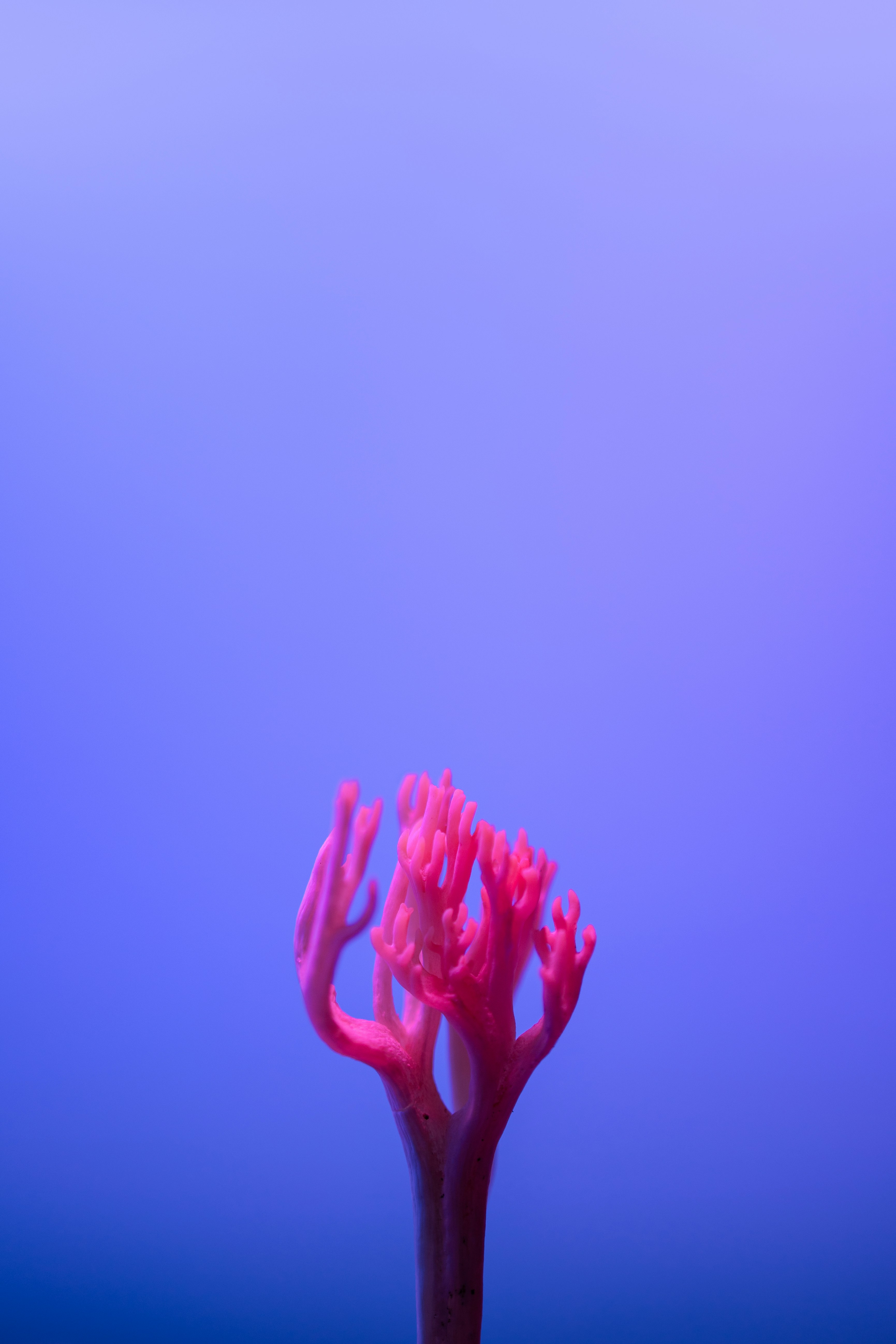 Photo by marekpiwnicki