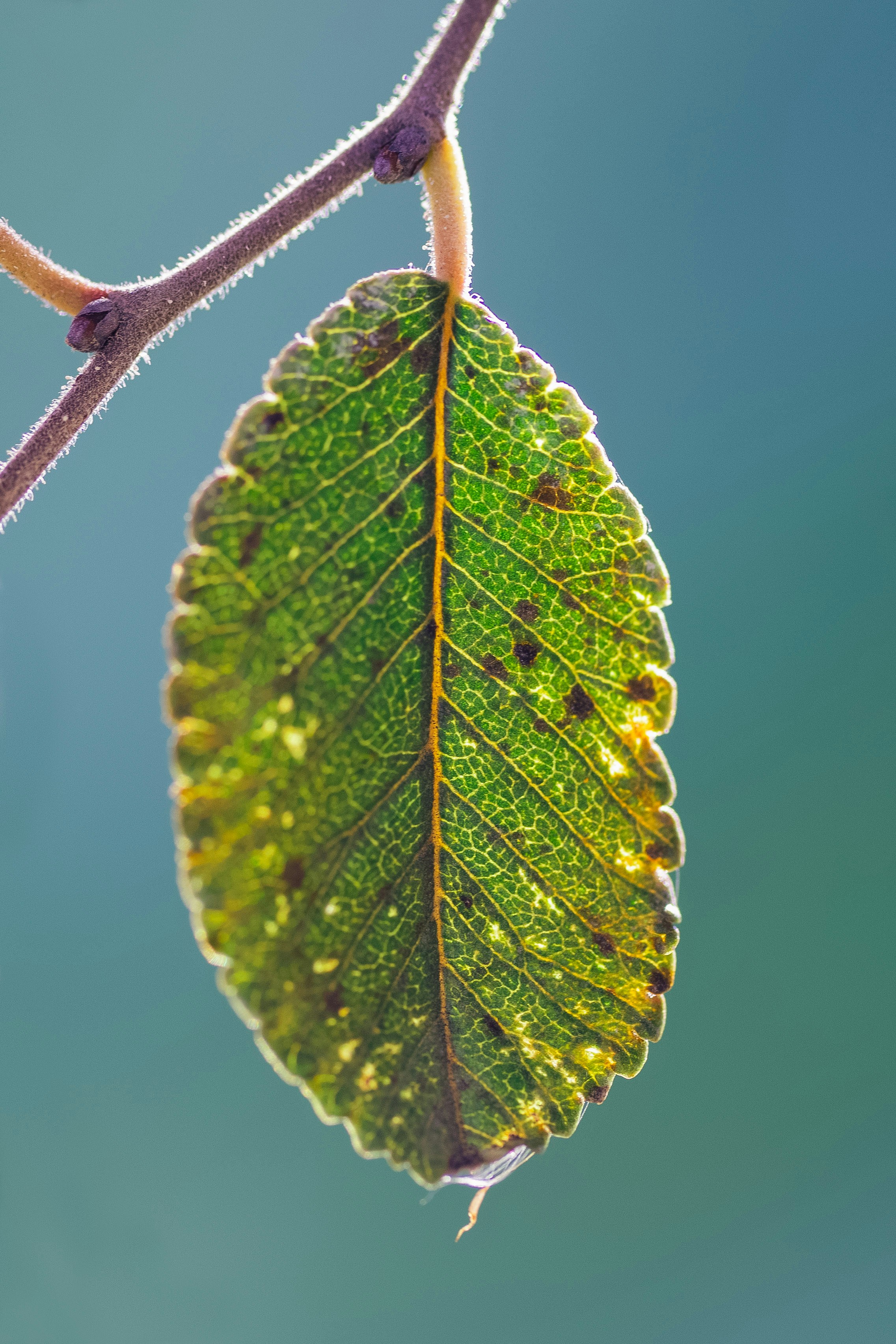 Photo by chaseanderton