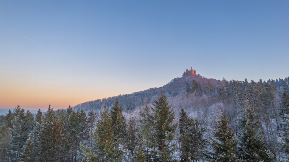 a mountain with a castle on top of it surrounded by trees