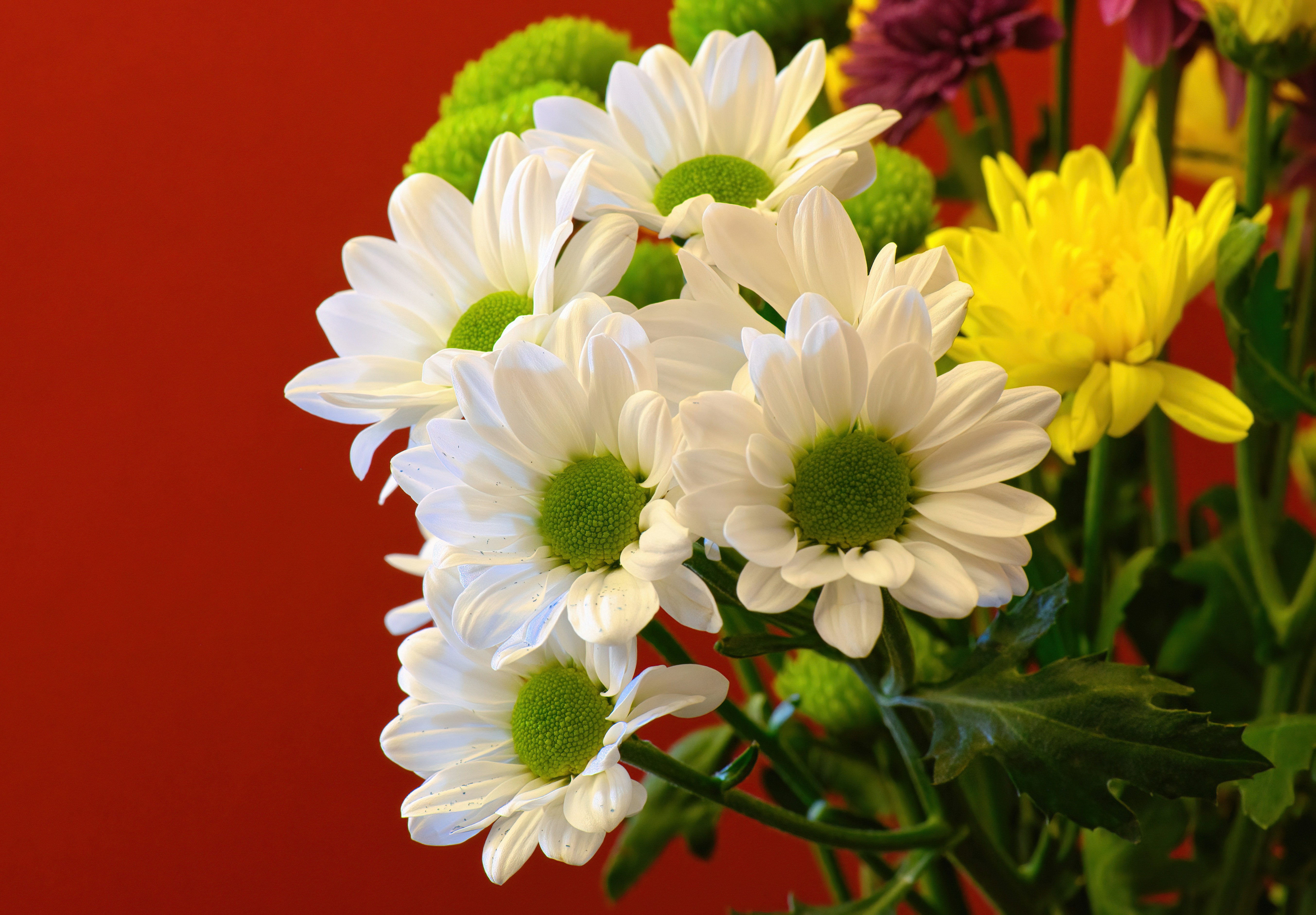 Friday Morning Greetings: Heartfelt Happy TGIF Wishes