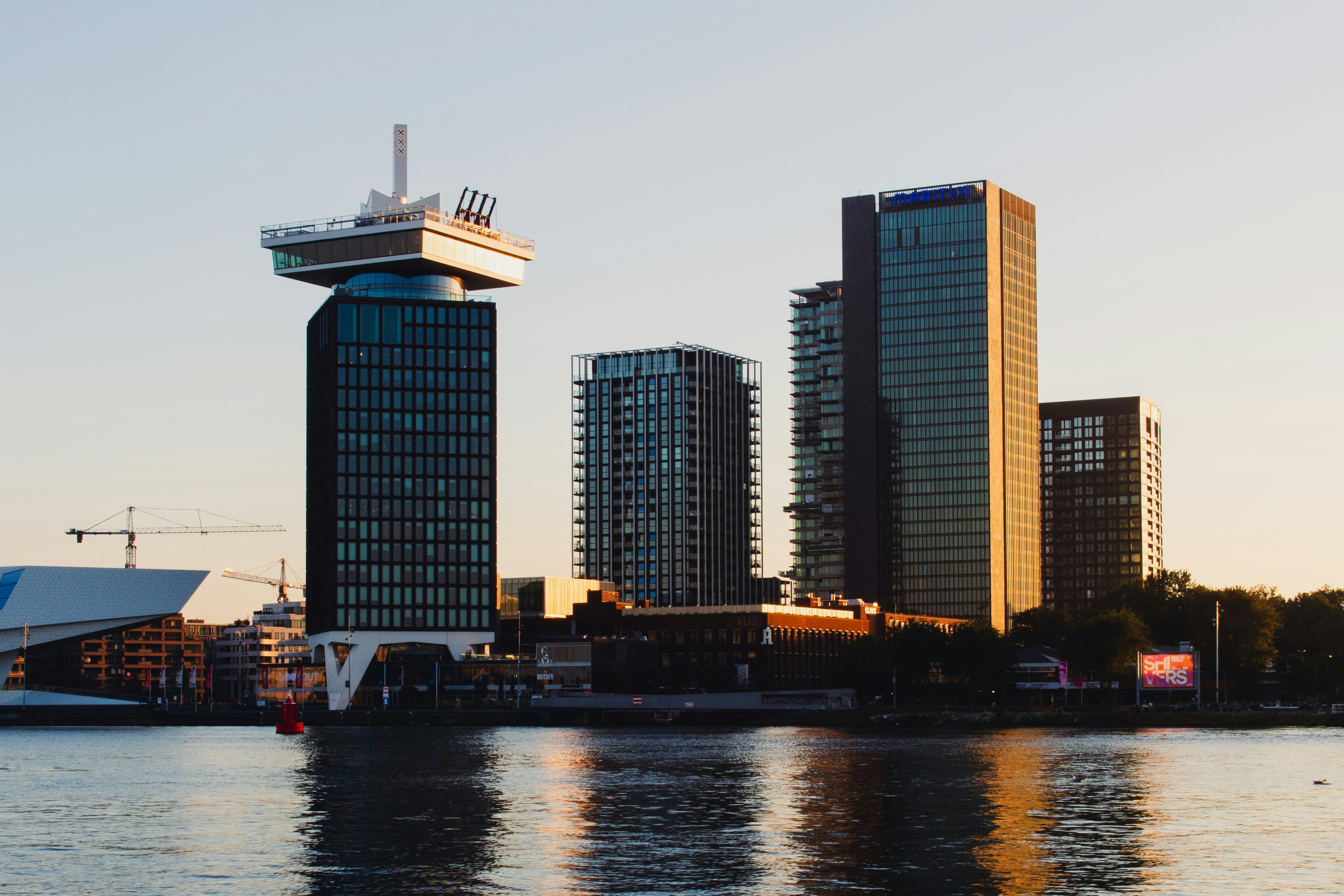 Photo by inspired_pup