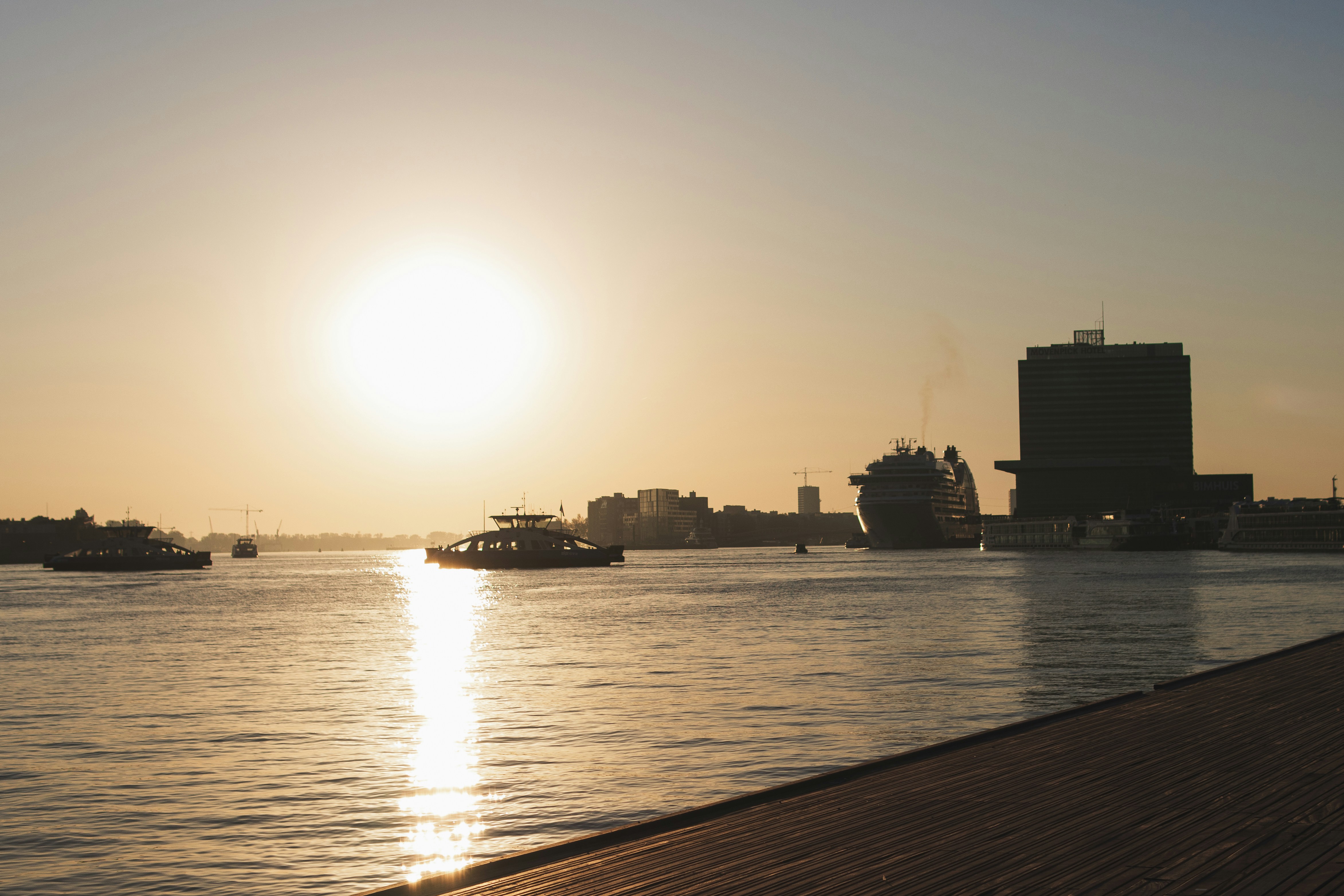 Photo by inspired_pup