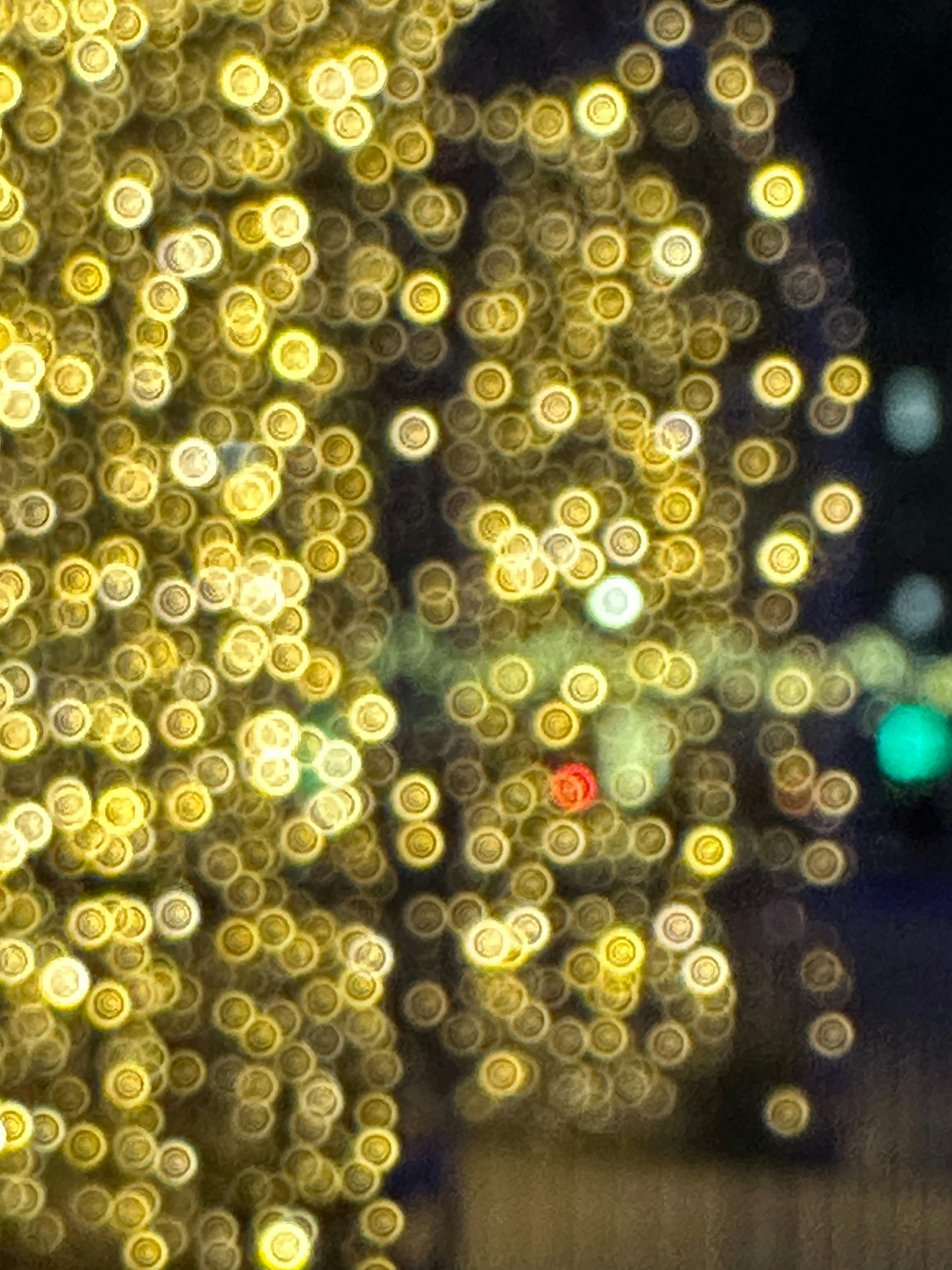 Photo by mangomojito_419