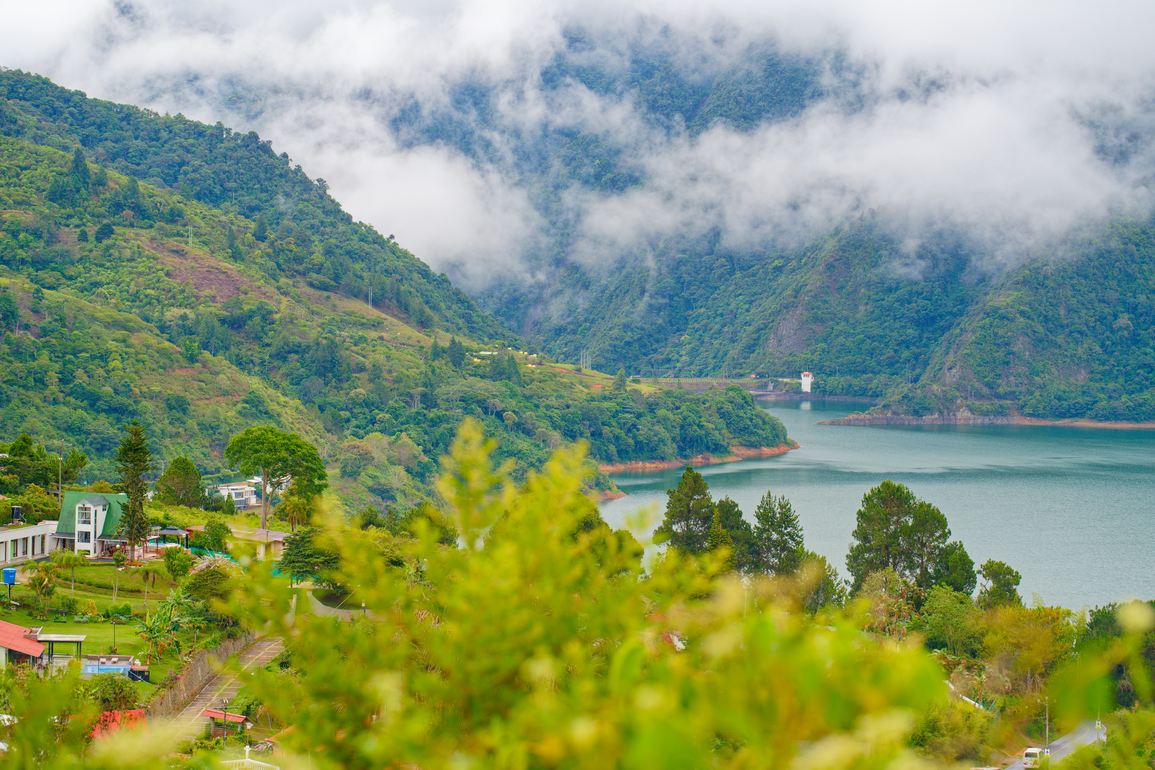 Photo by freddyphotography