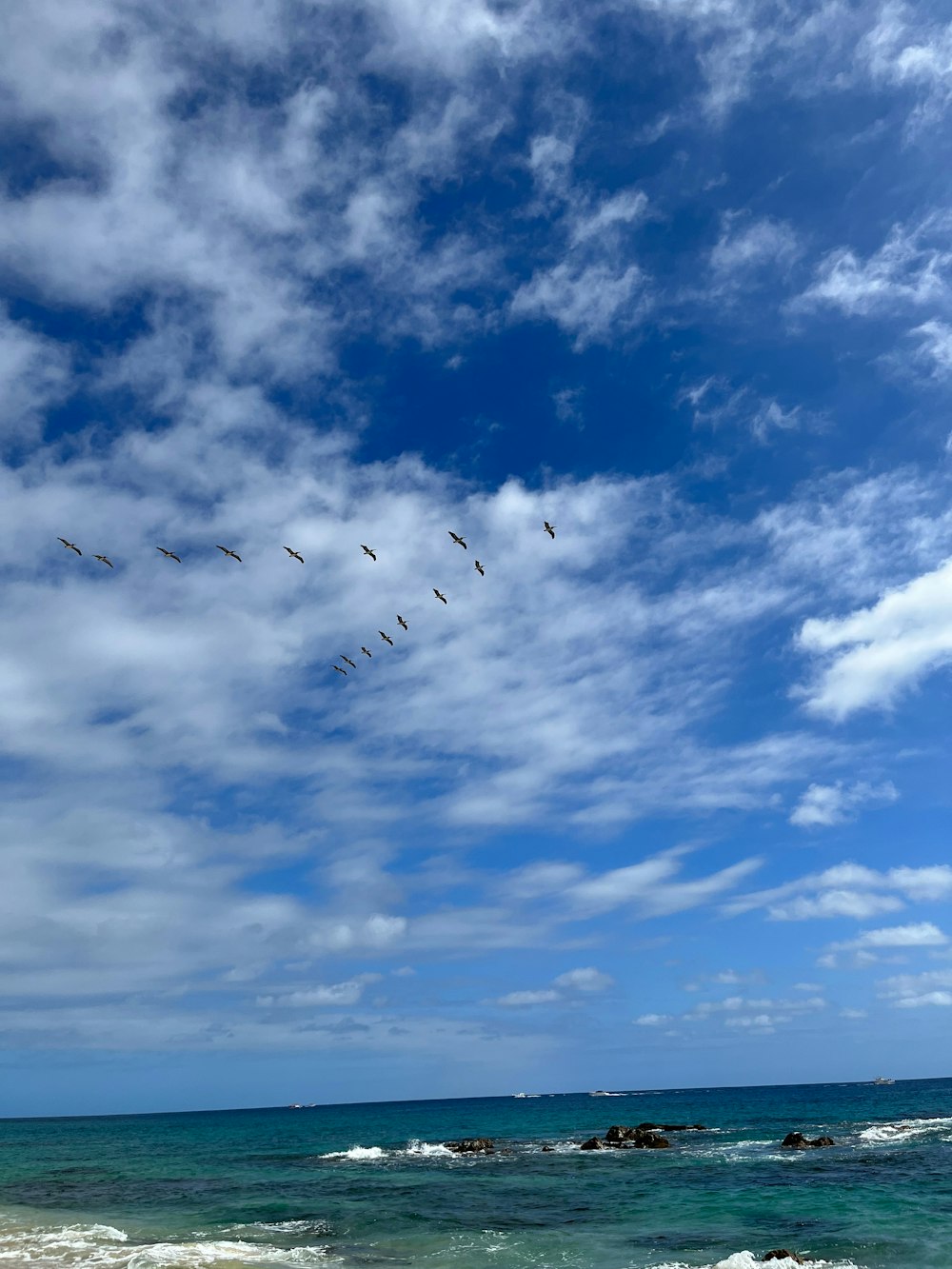 a flock of birds flying over the ocean