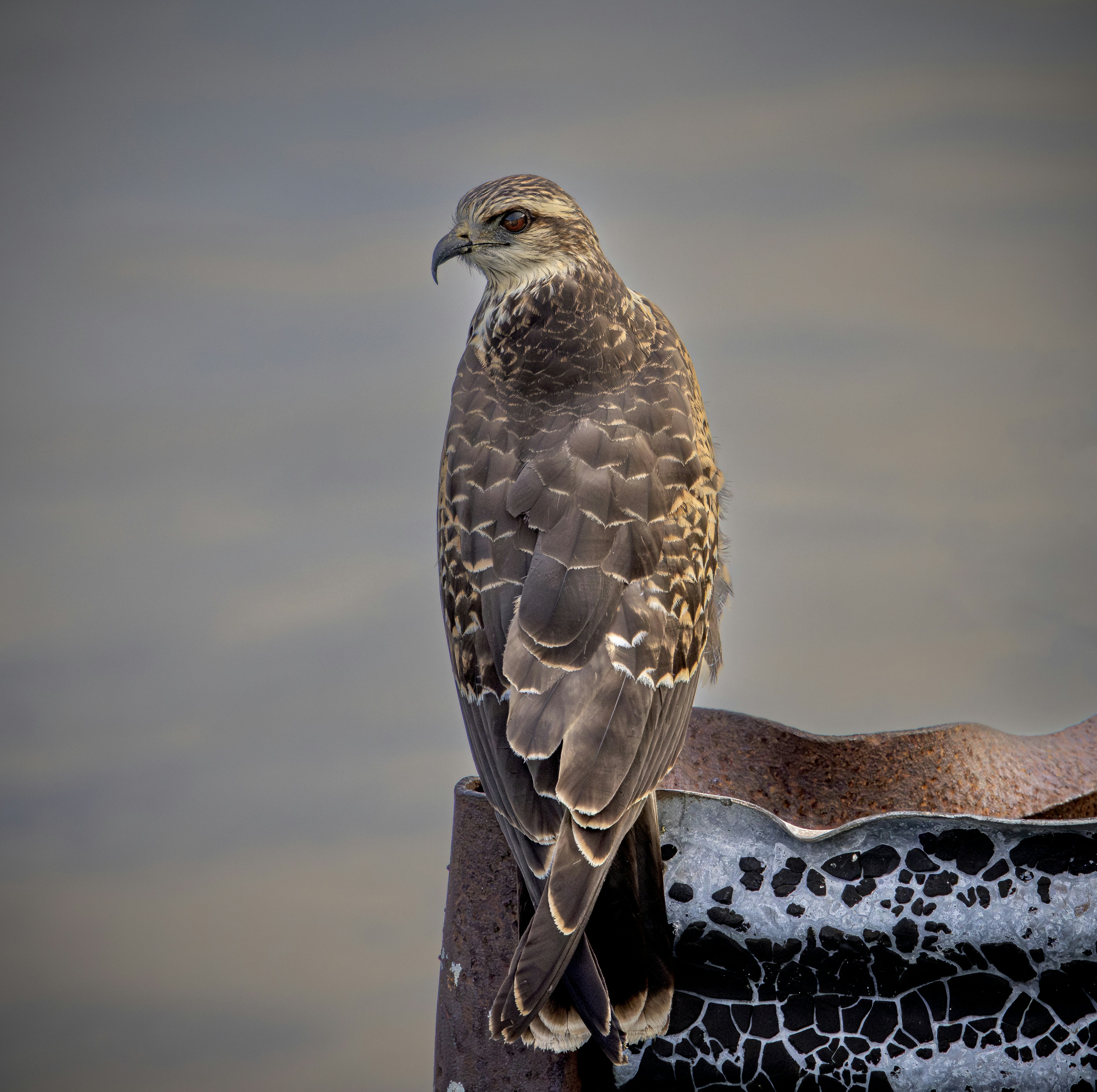 Photo by sailorgreg123