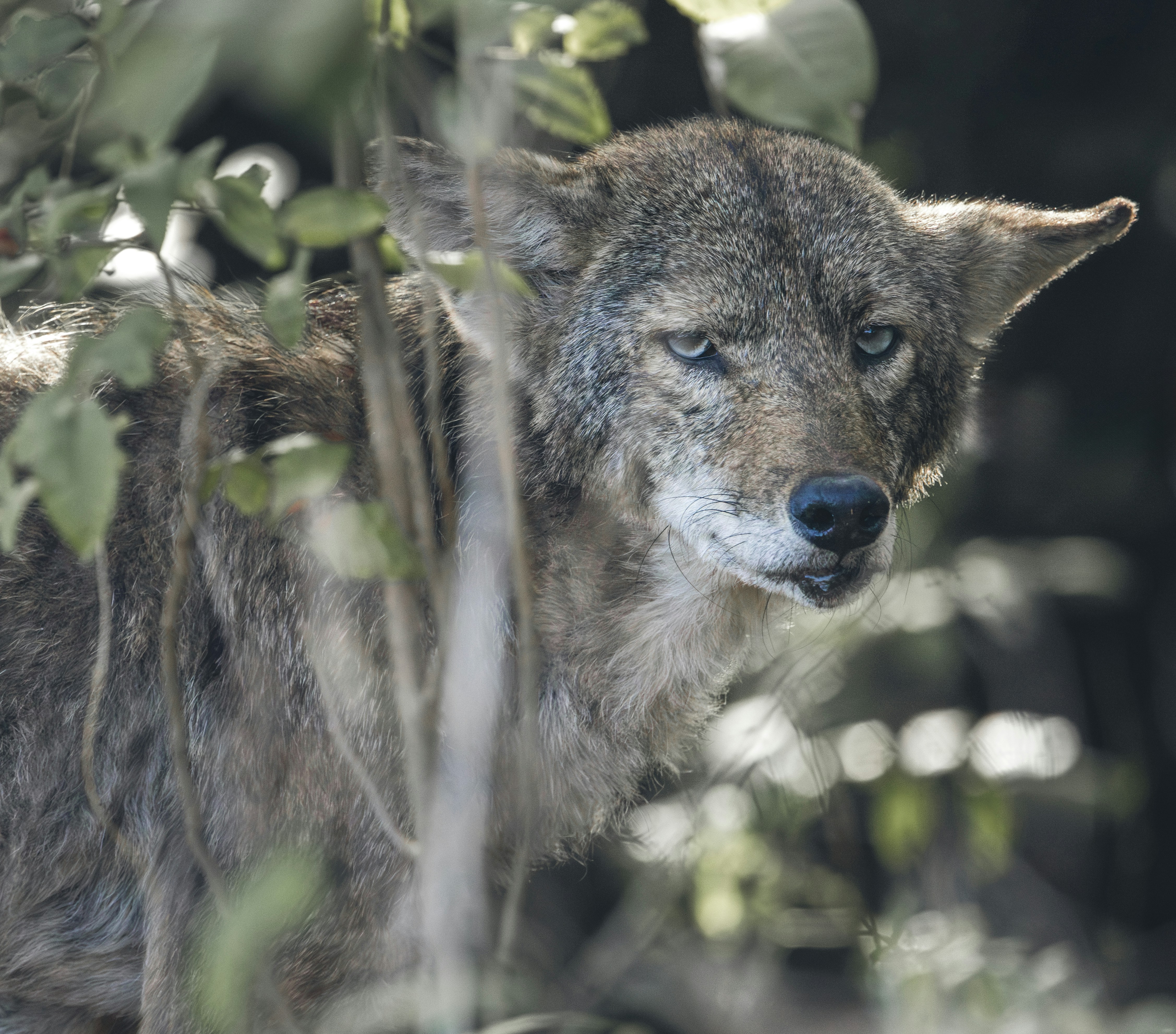 Photo by sailorgreg123