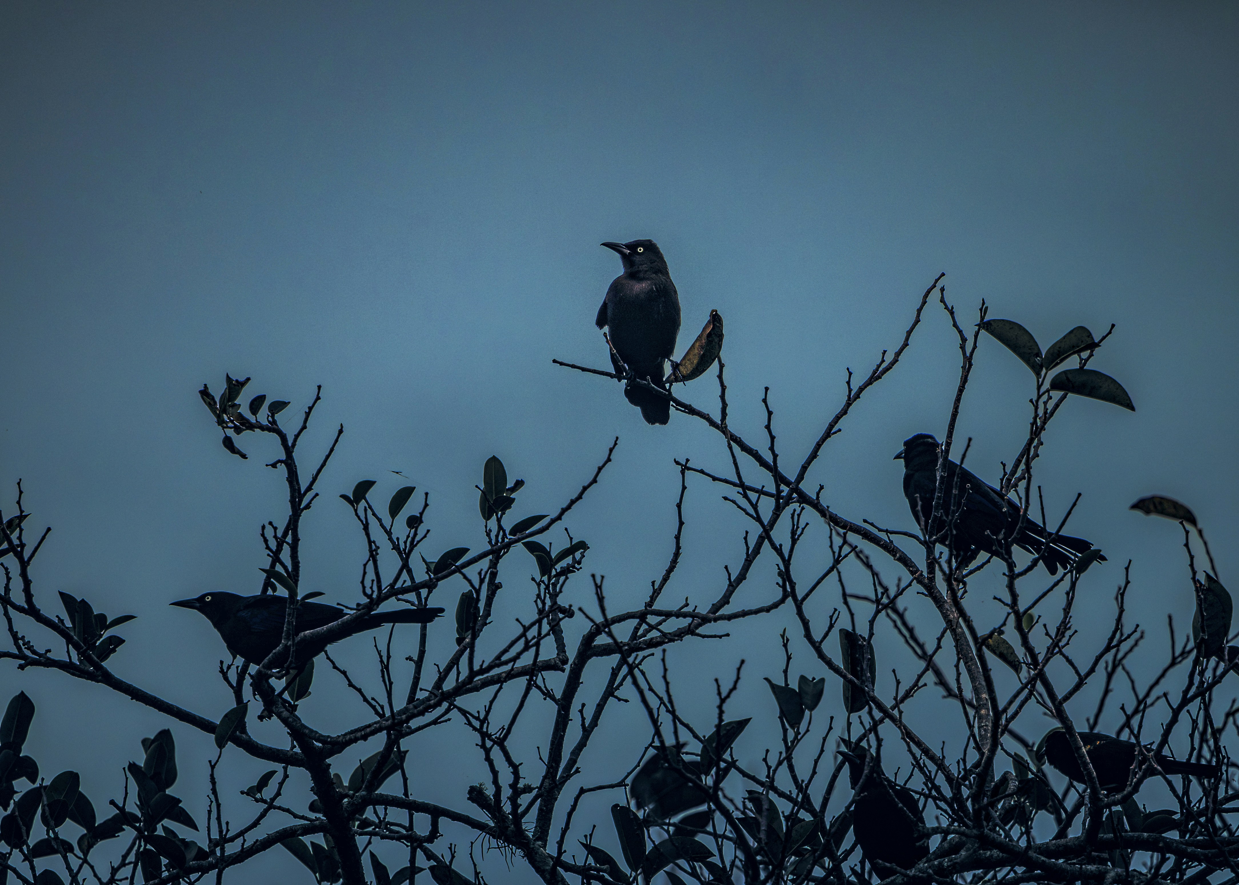 Photo by sailorgreg123