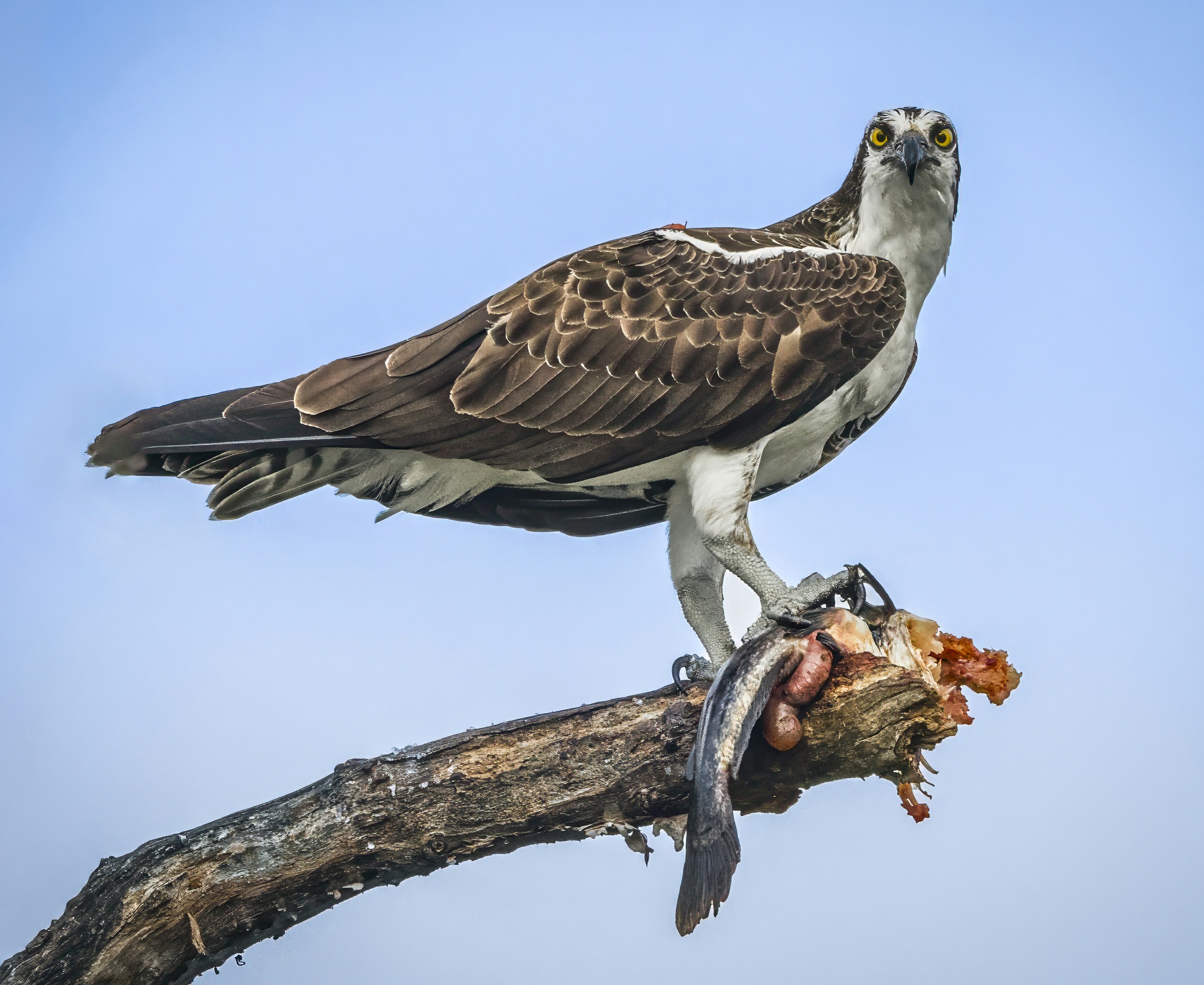 Photo by sailorgreg123