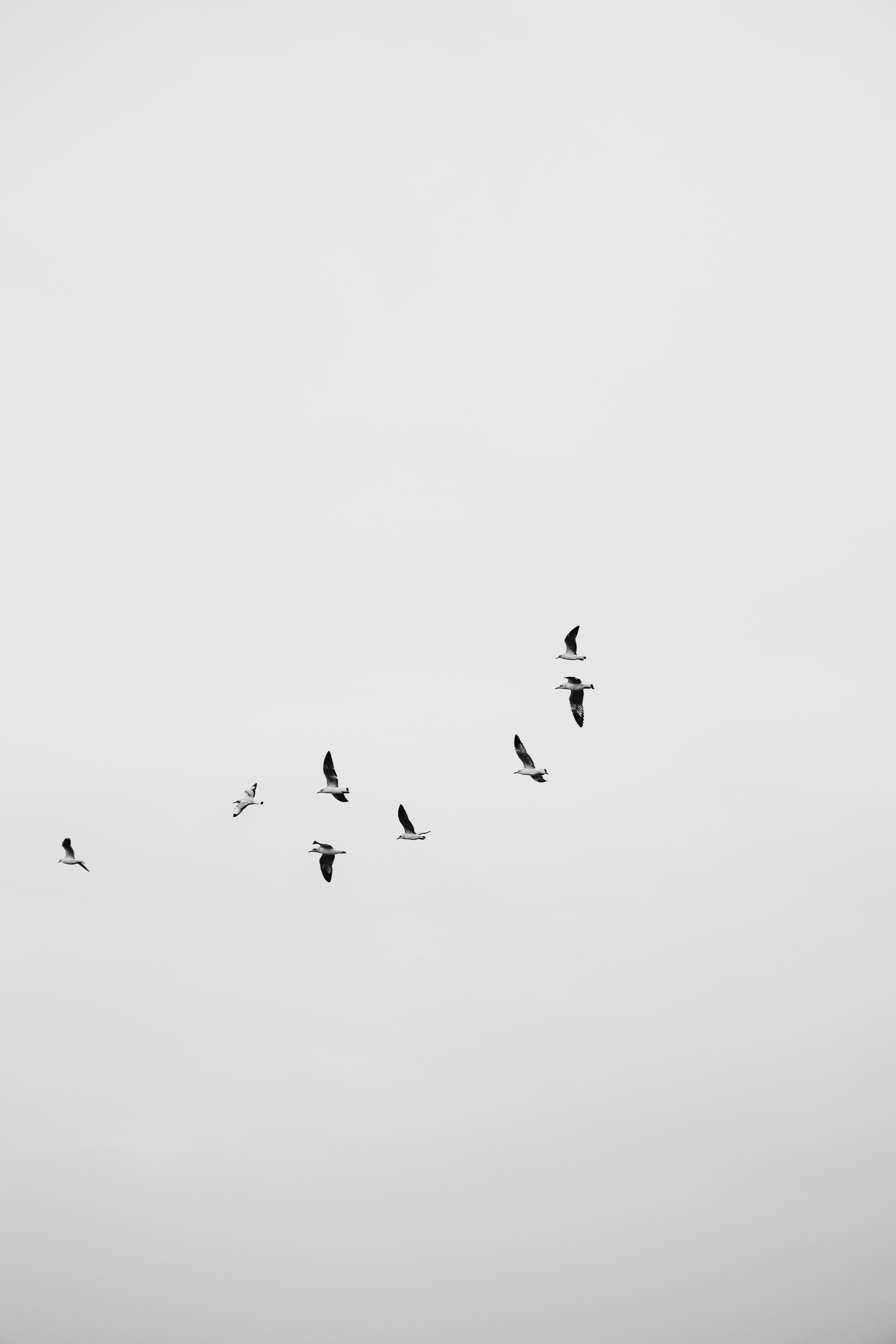 Photo by its_since1997