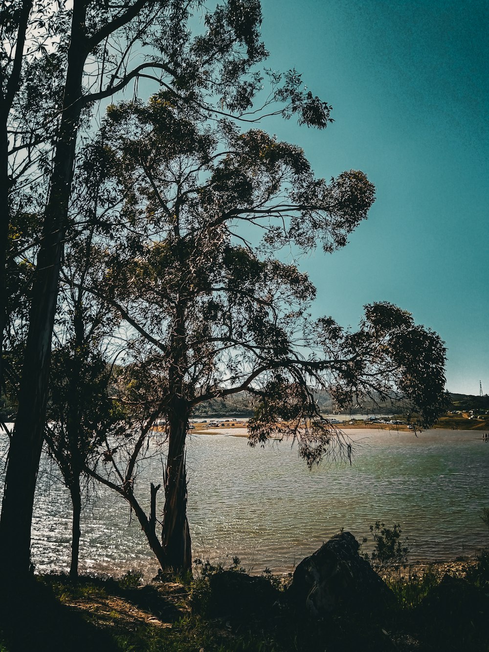 a body of water surrounded by trees on a sunny day