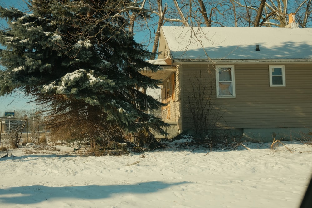 una casa con nieve en el suelo y un árbol frente a ella