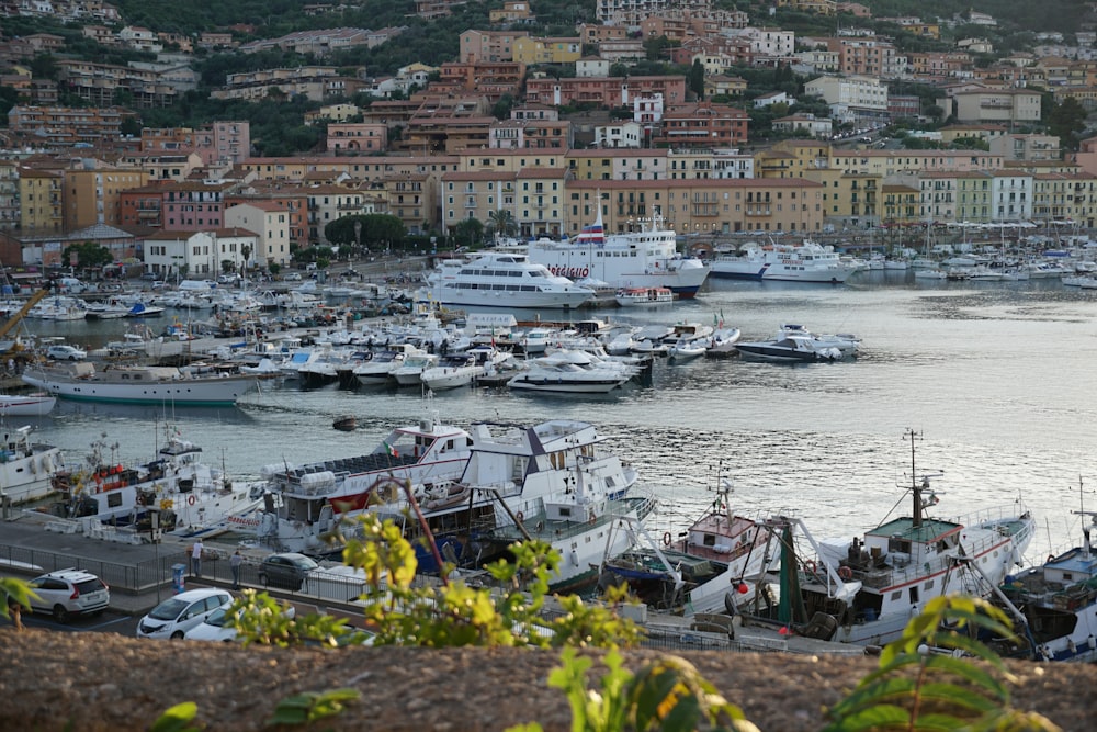 a harbor filled with lots of boats next to a city