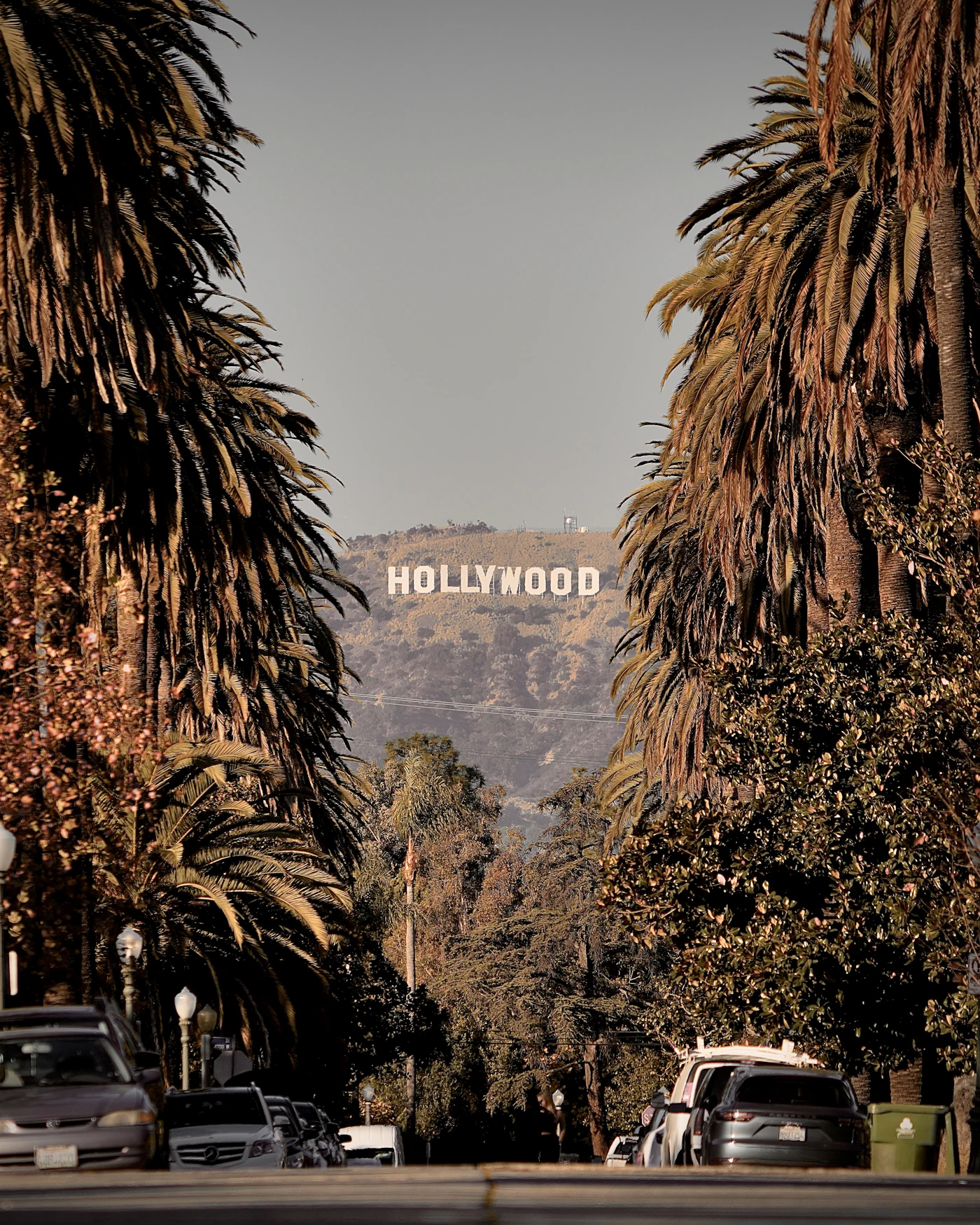 The hollywood sign is surrounded by palm trees