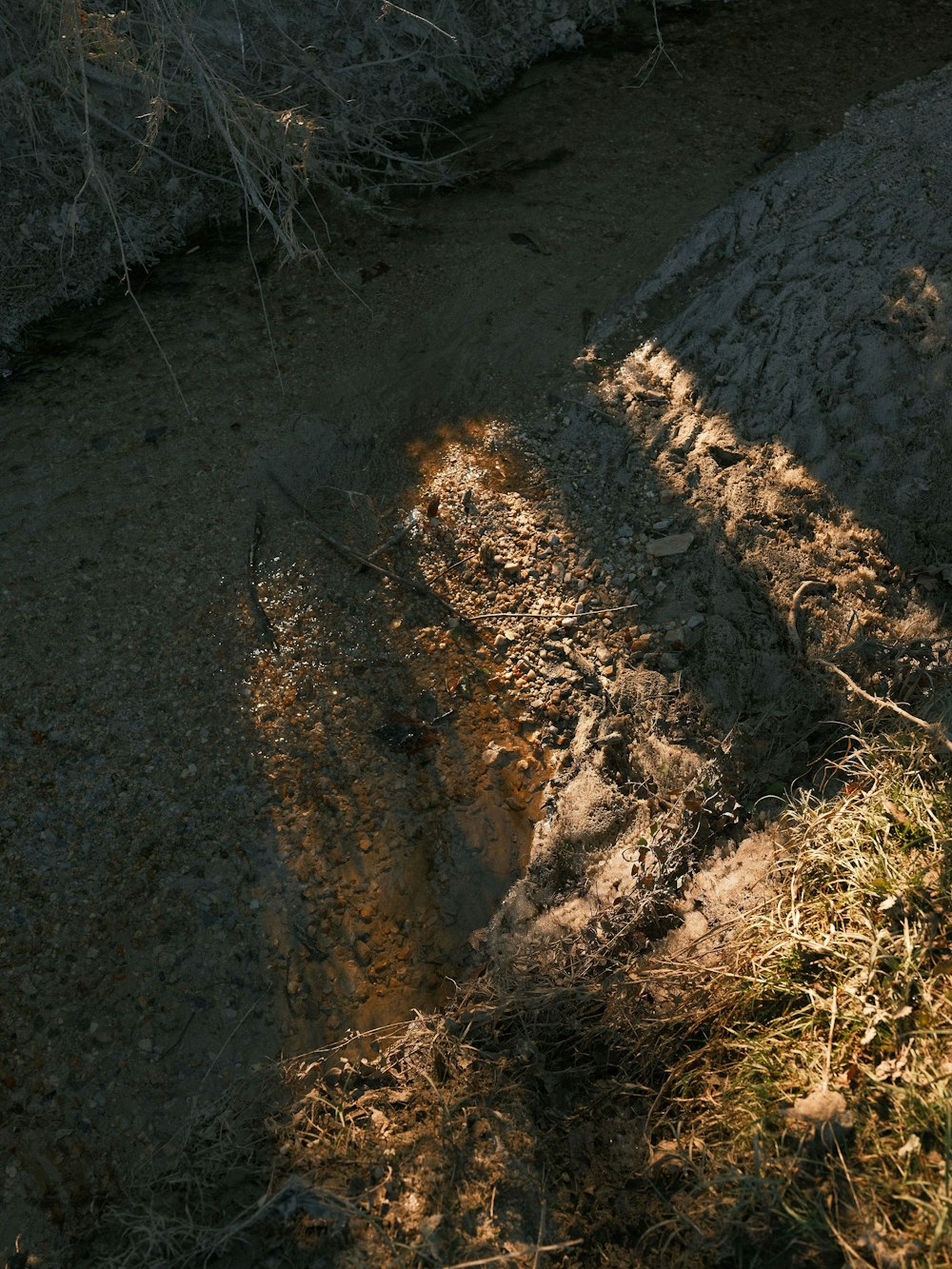 the shadow of a person riding a horse on a trail