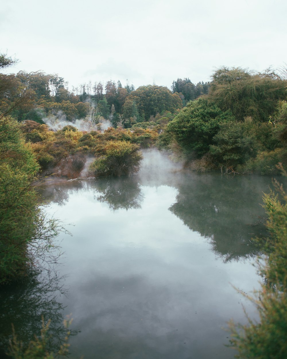 a body of water surrounded by trees and bushes