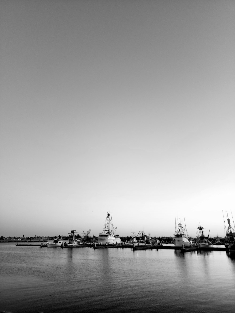 a black and white photo of a harbor