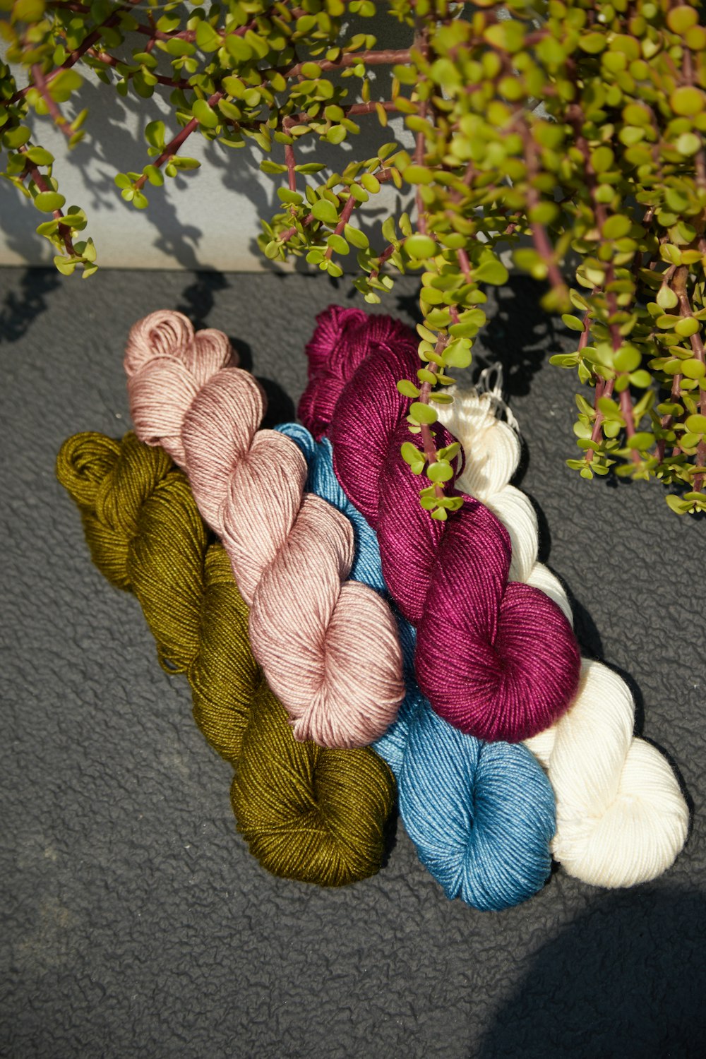 a row of skeins of yarn next to a bush