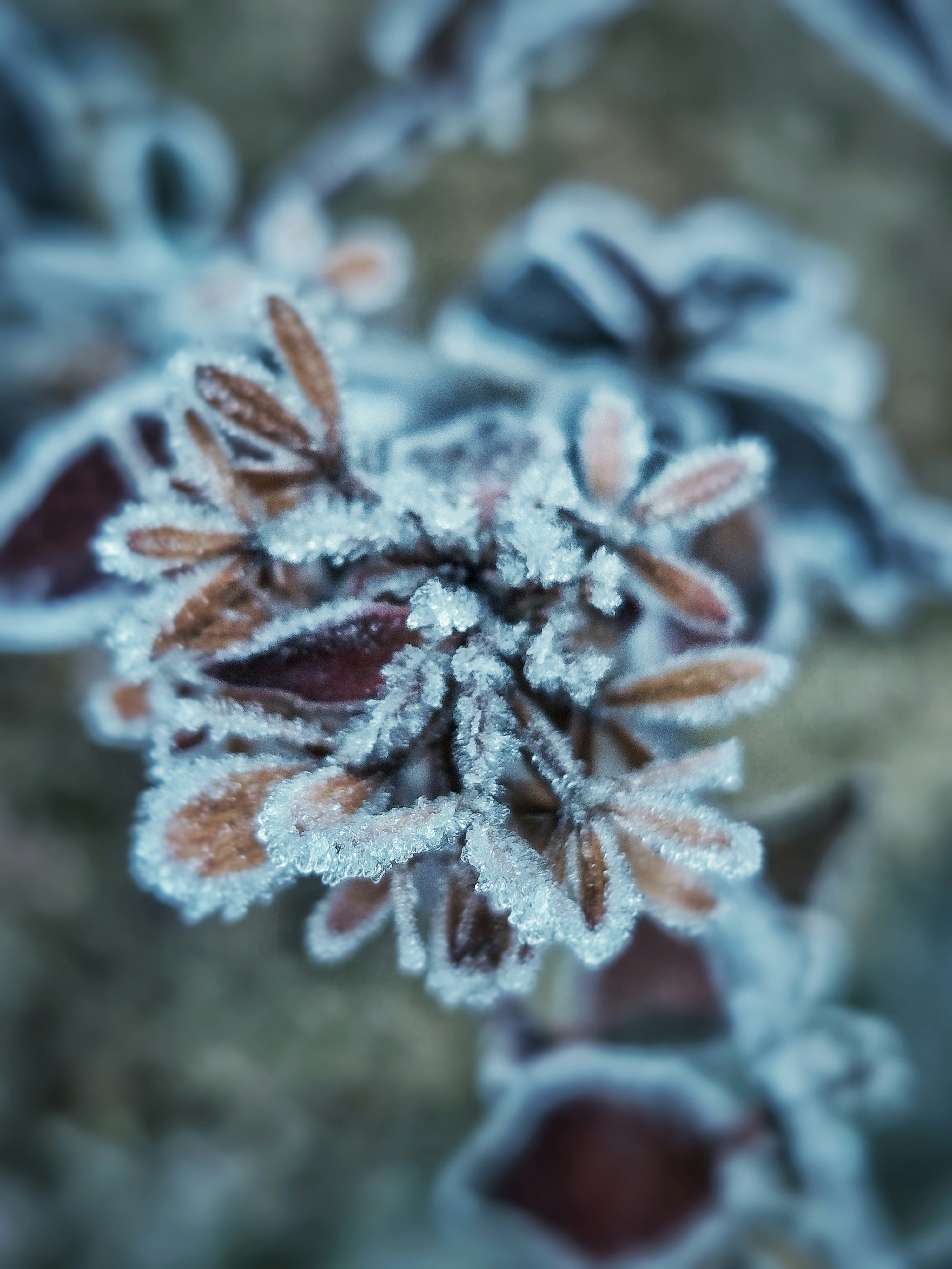 Photo by aadil_majeed