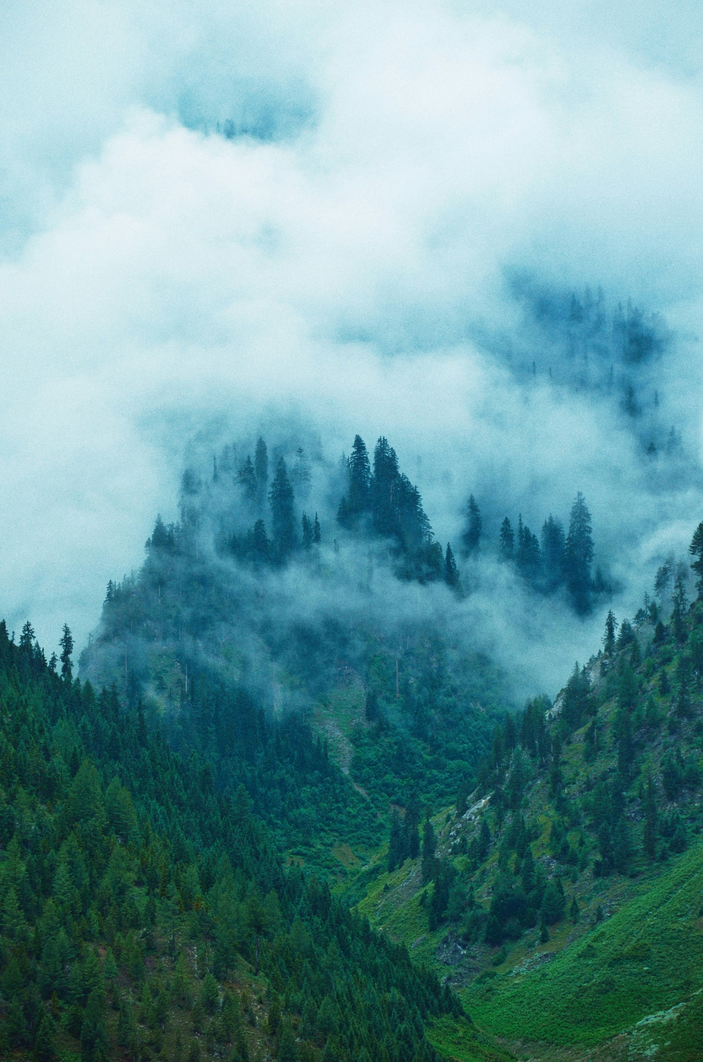 Photo by aadil_majeed