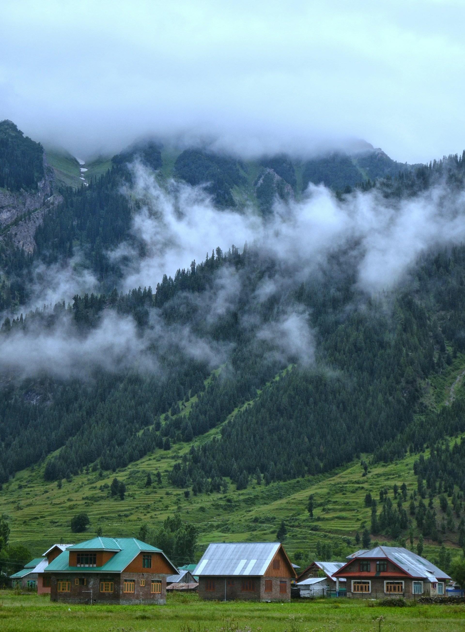 a group of houses sitting on top of a lush green hillside