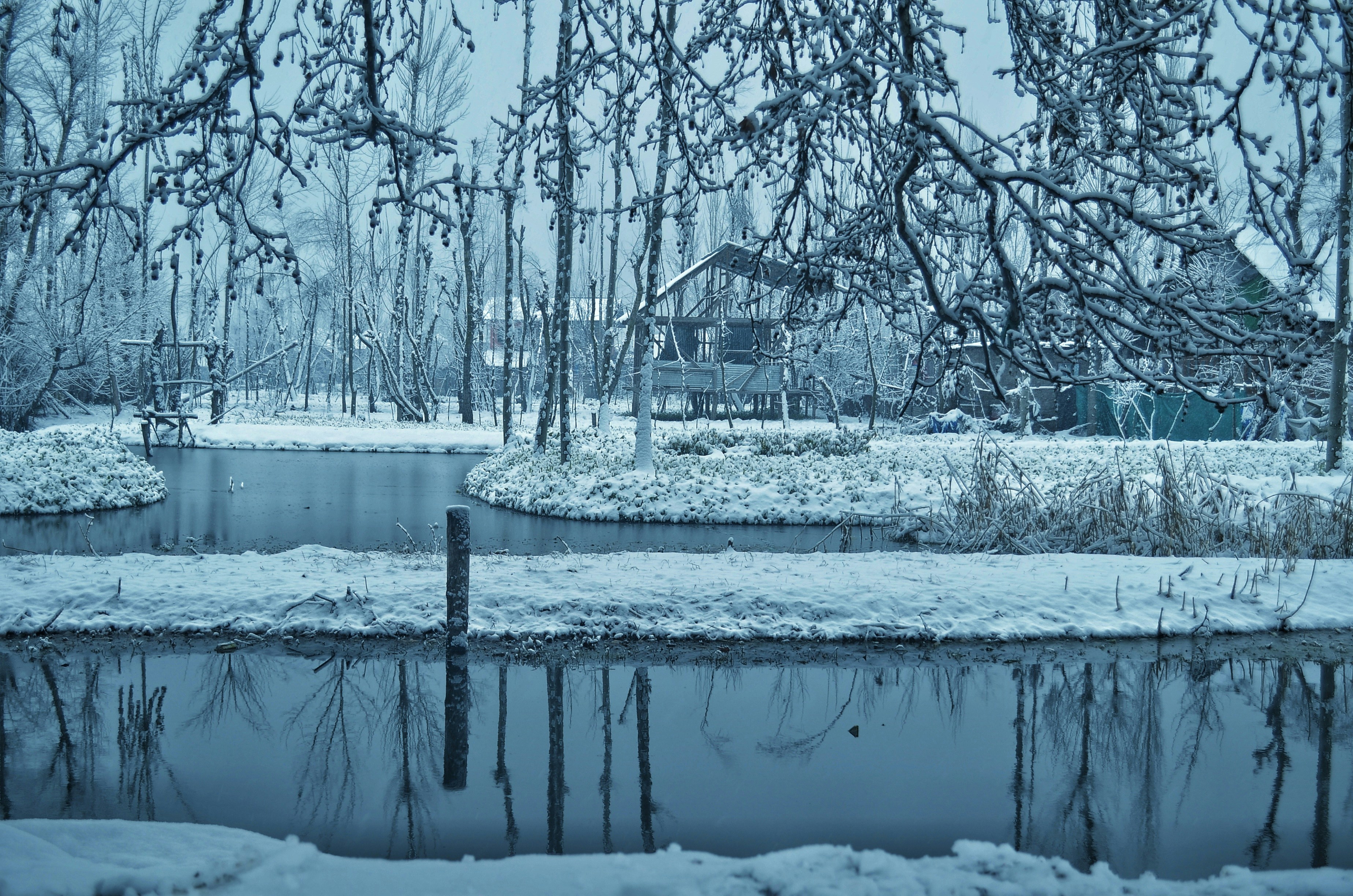 Photo by aadil_majeed