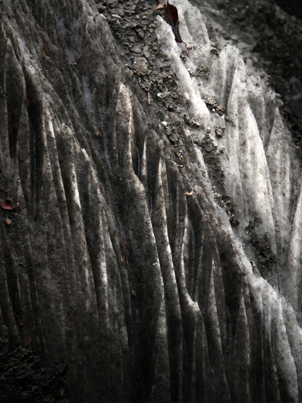 a black and white photo of a rock face