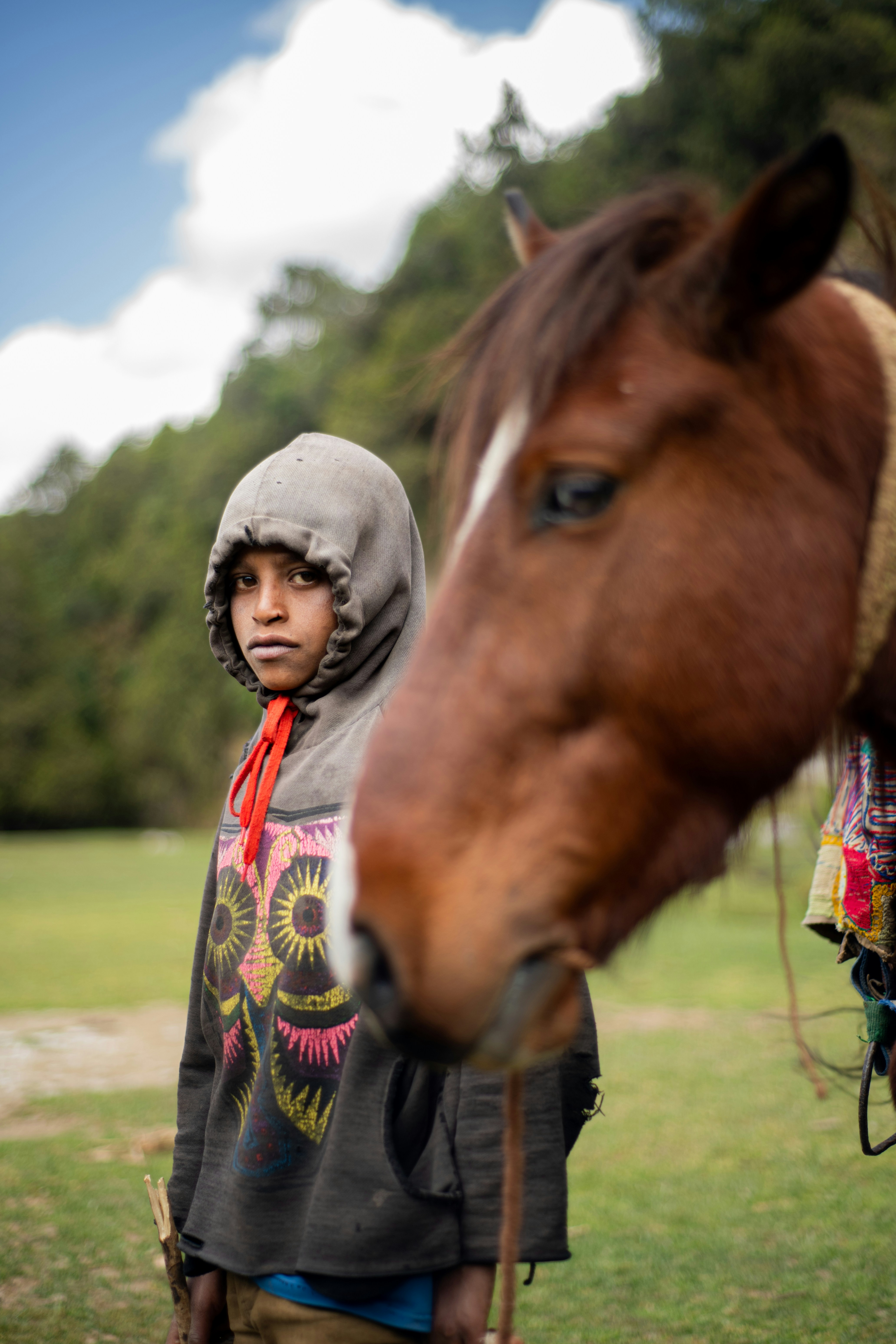 a young boy standing next to a brown horse