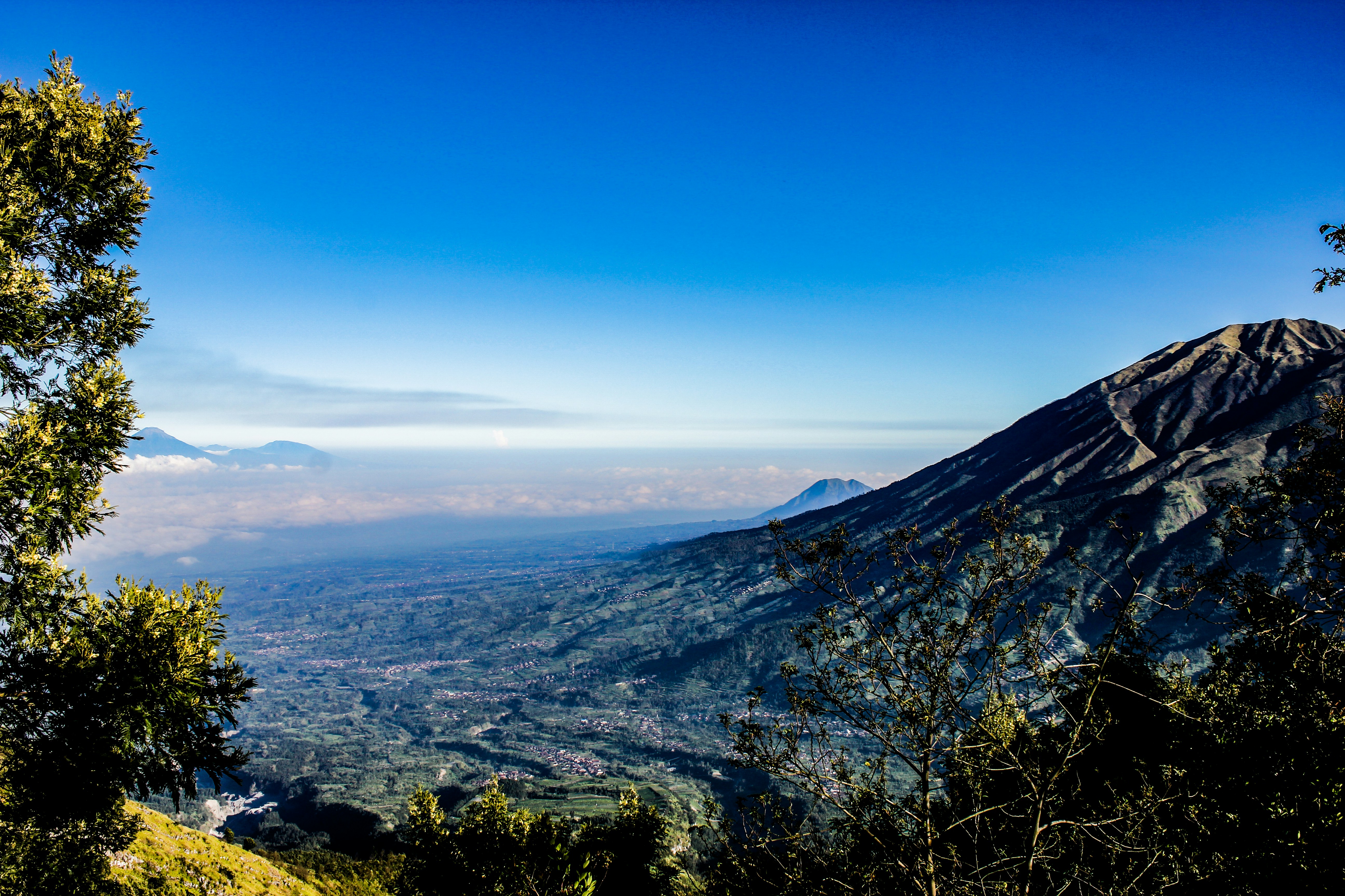 Photo by yosafatherdian