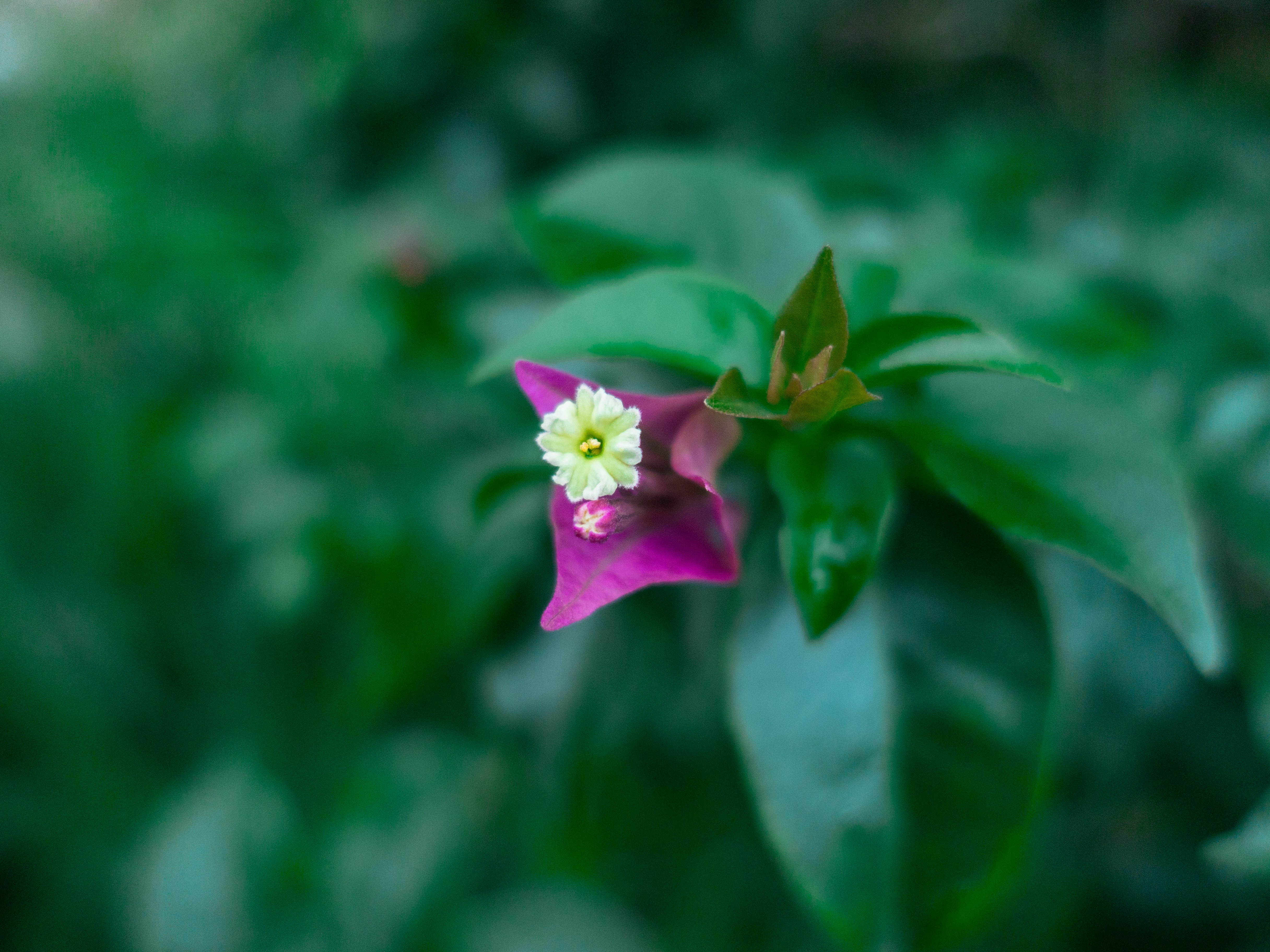 Photo by yosafatherdian