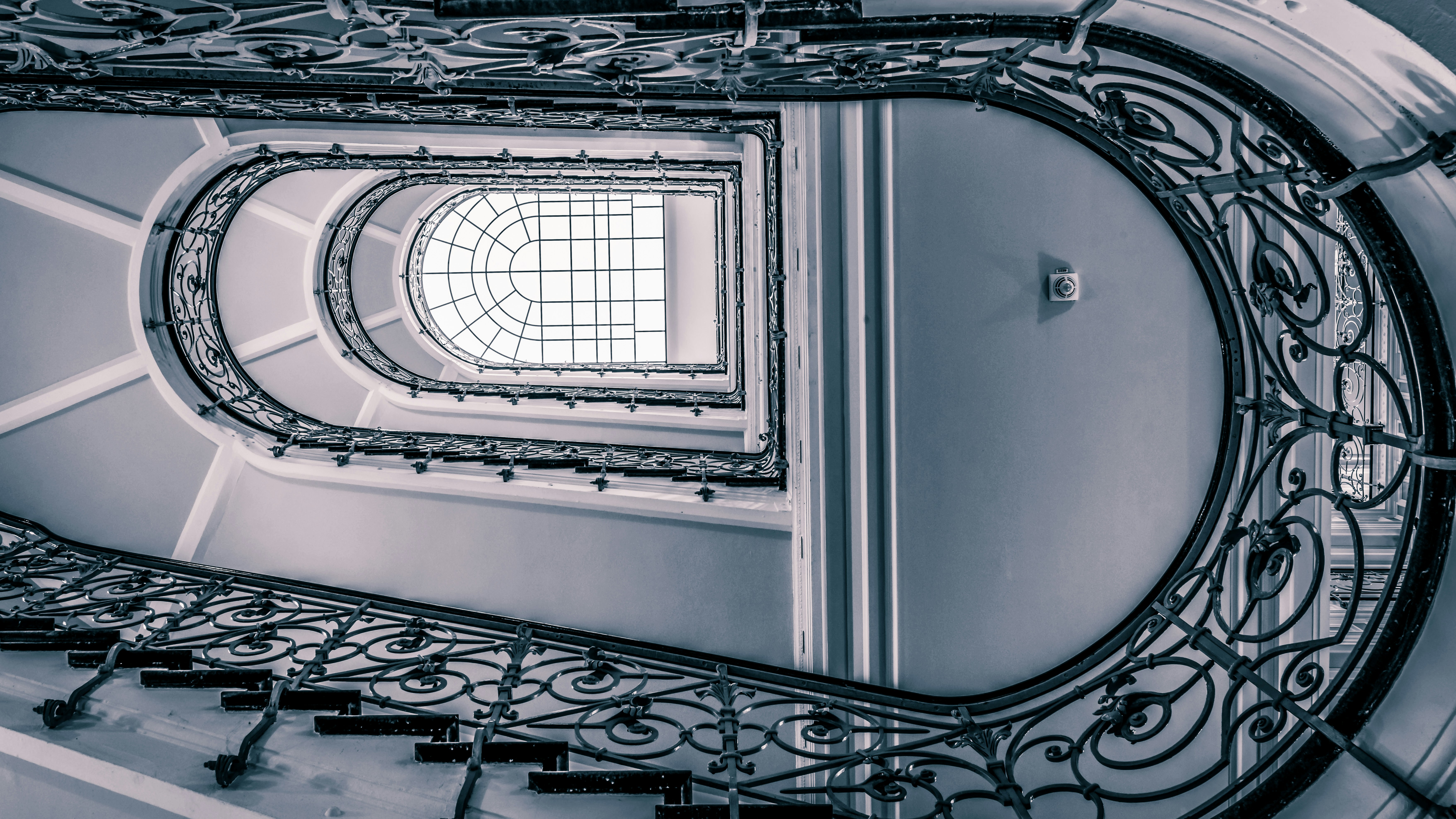 Photo by hamburgmeinefreundin