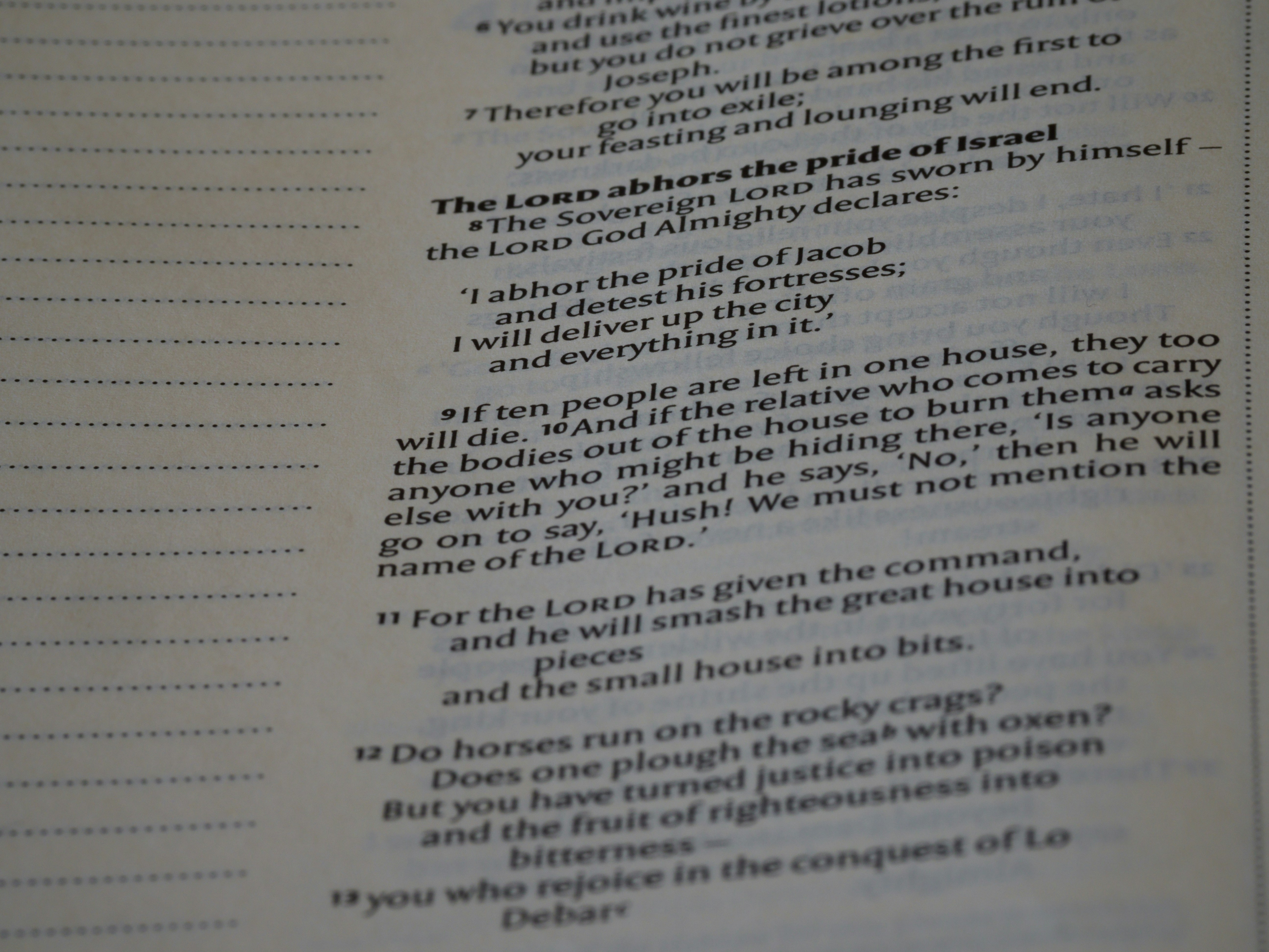 Photo by brett_jordan