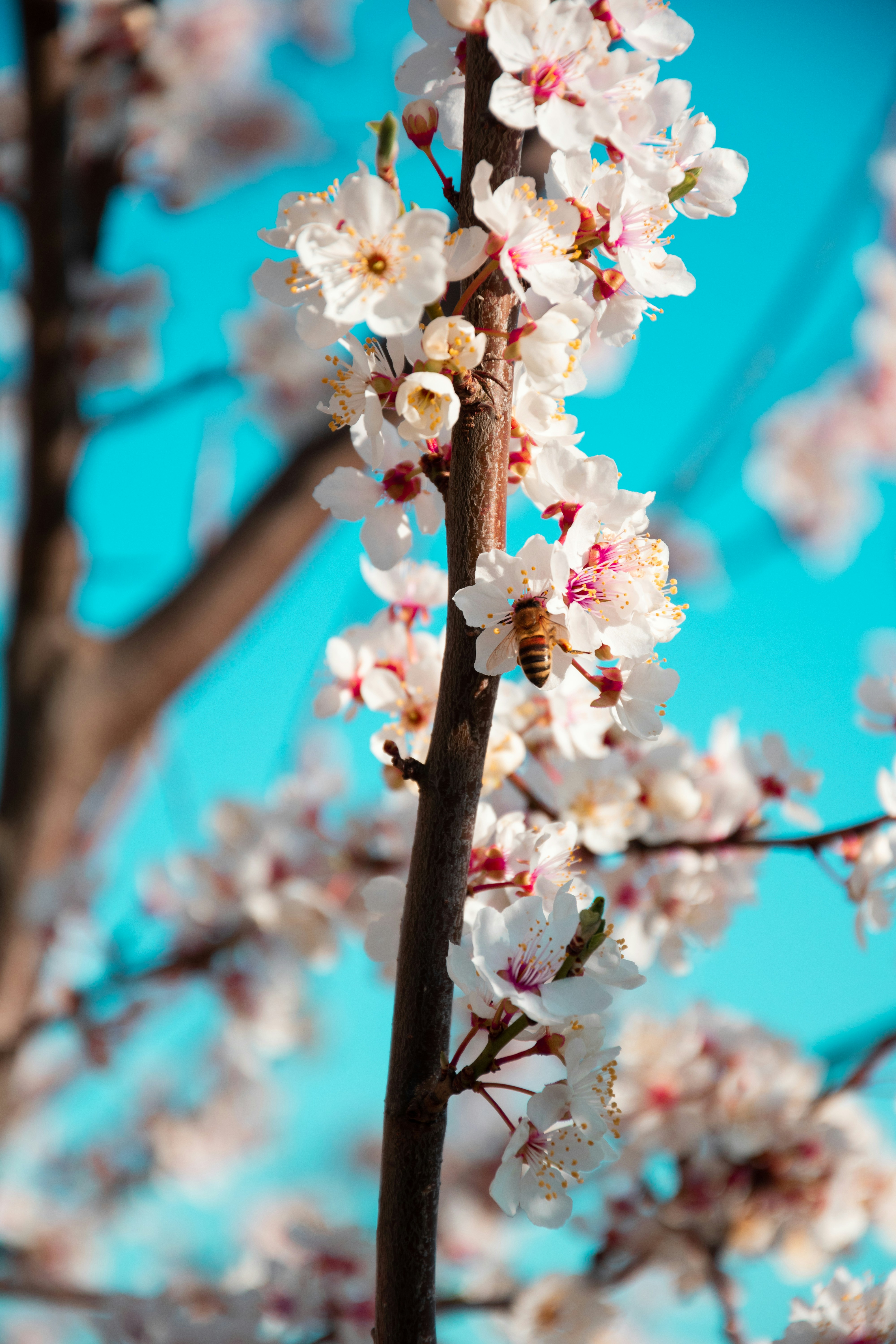 Photo by jonah_loeffler