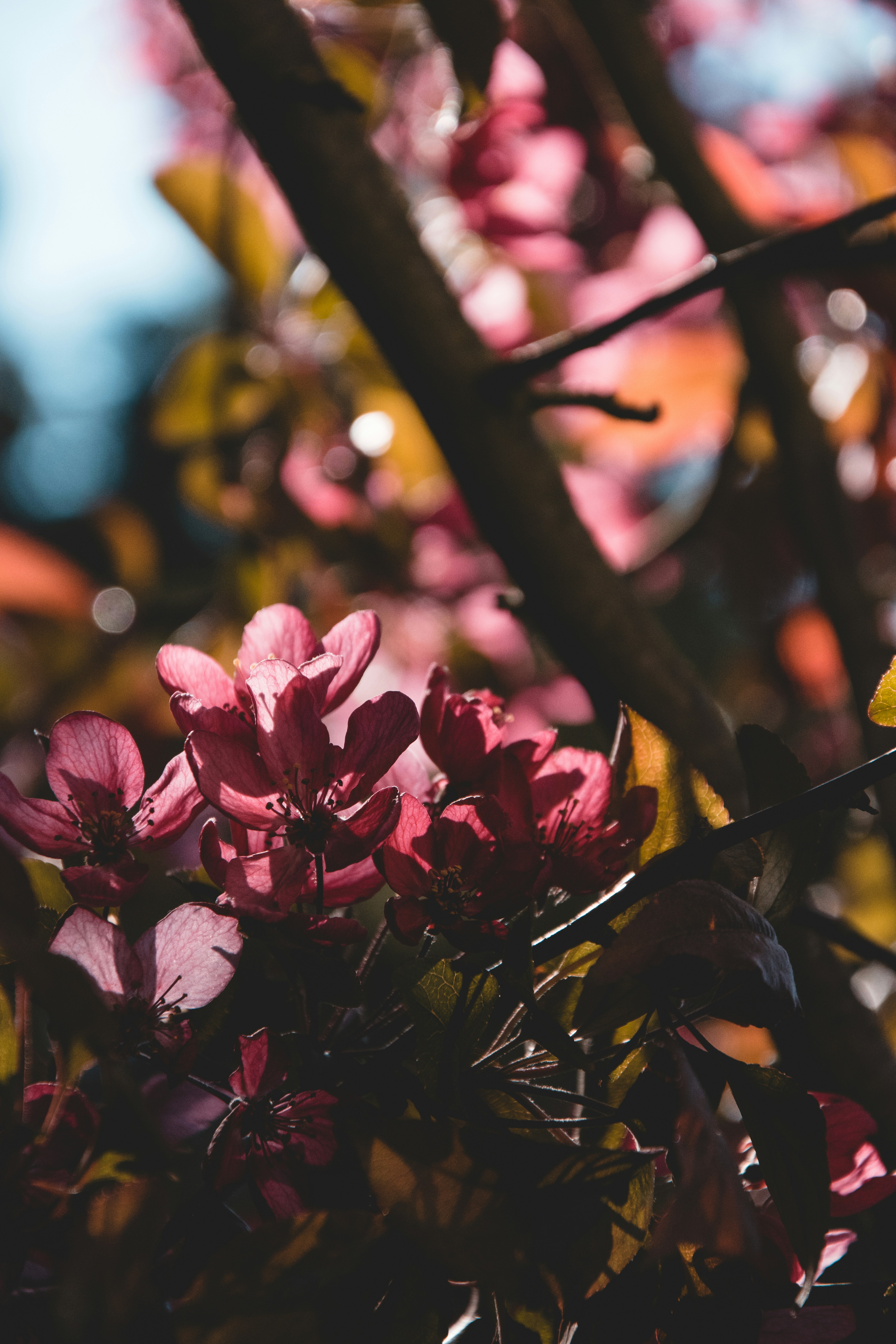 Photo by jonah_loeffler