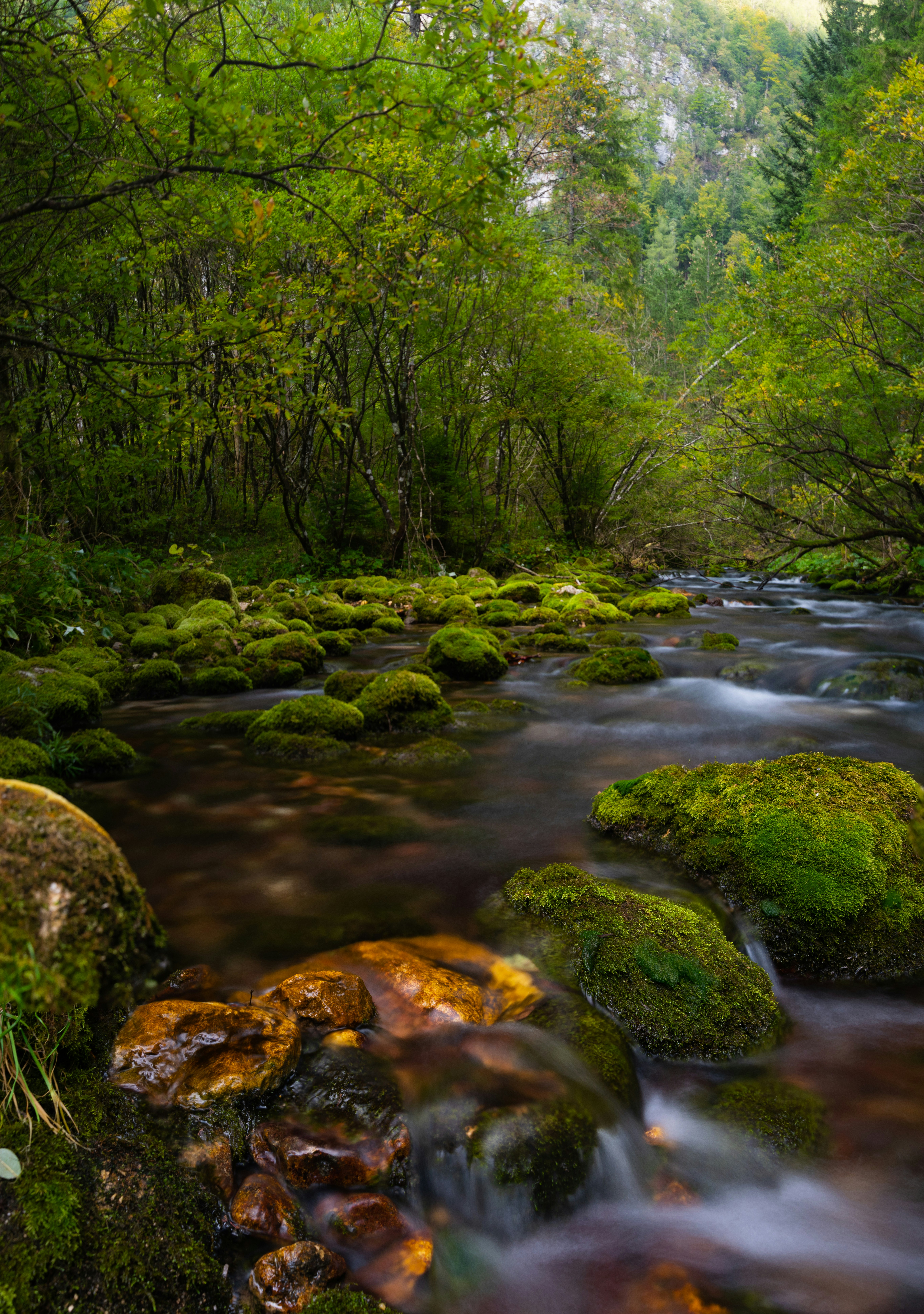 Photo by jonah_loeffler