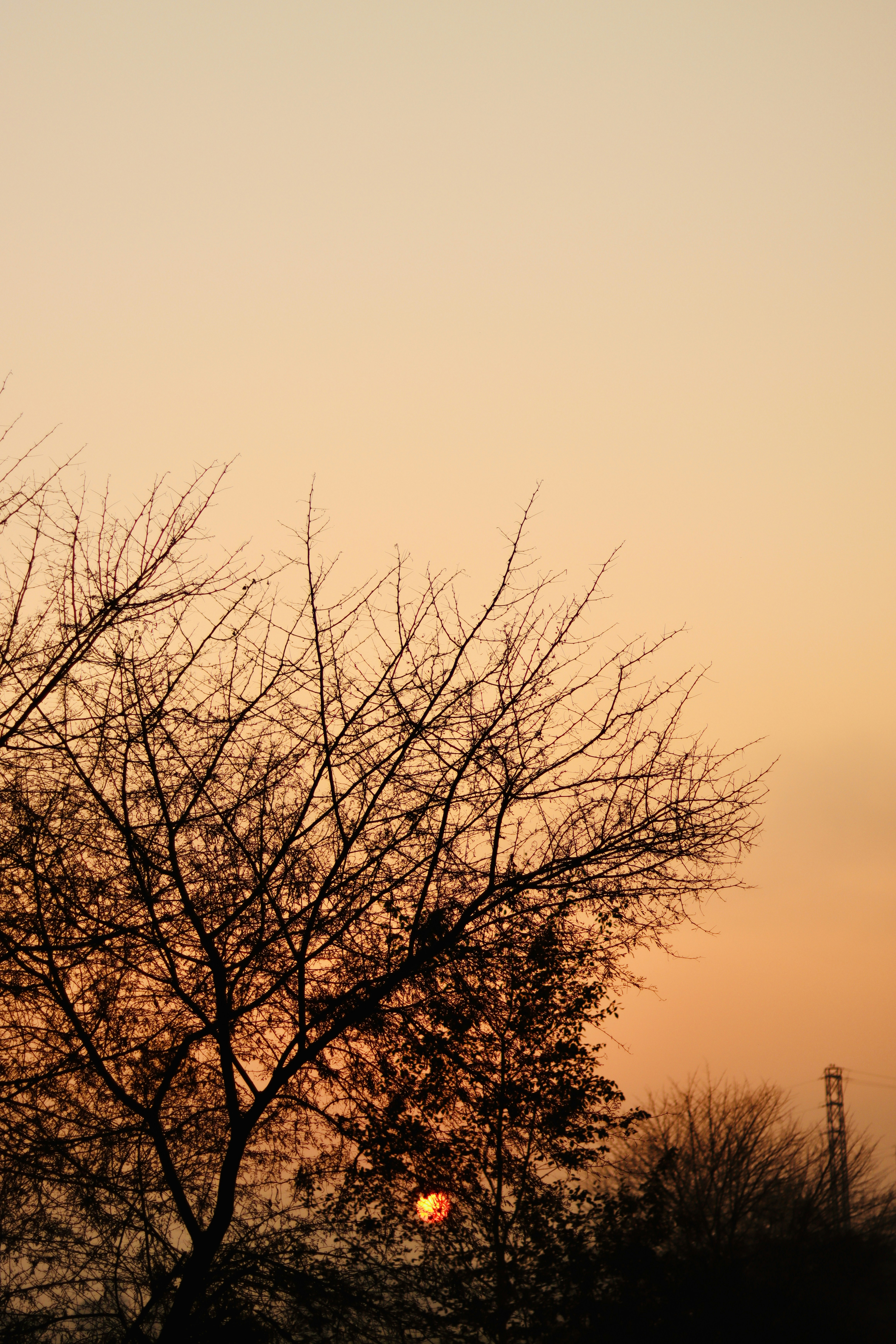 Photo by sachin2708
