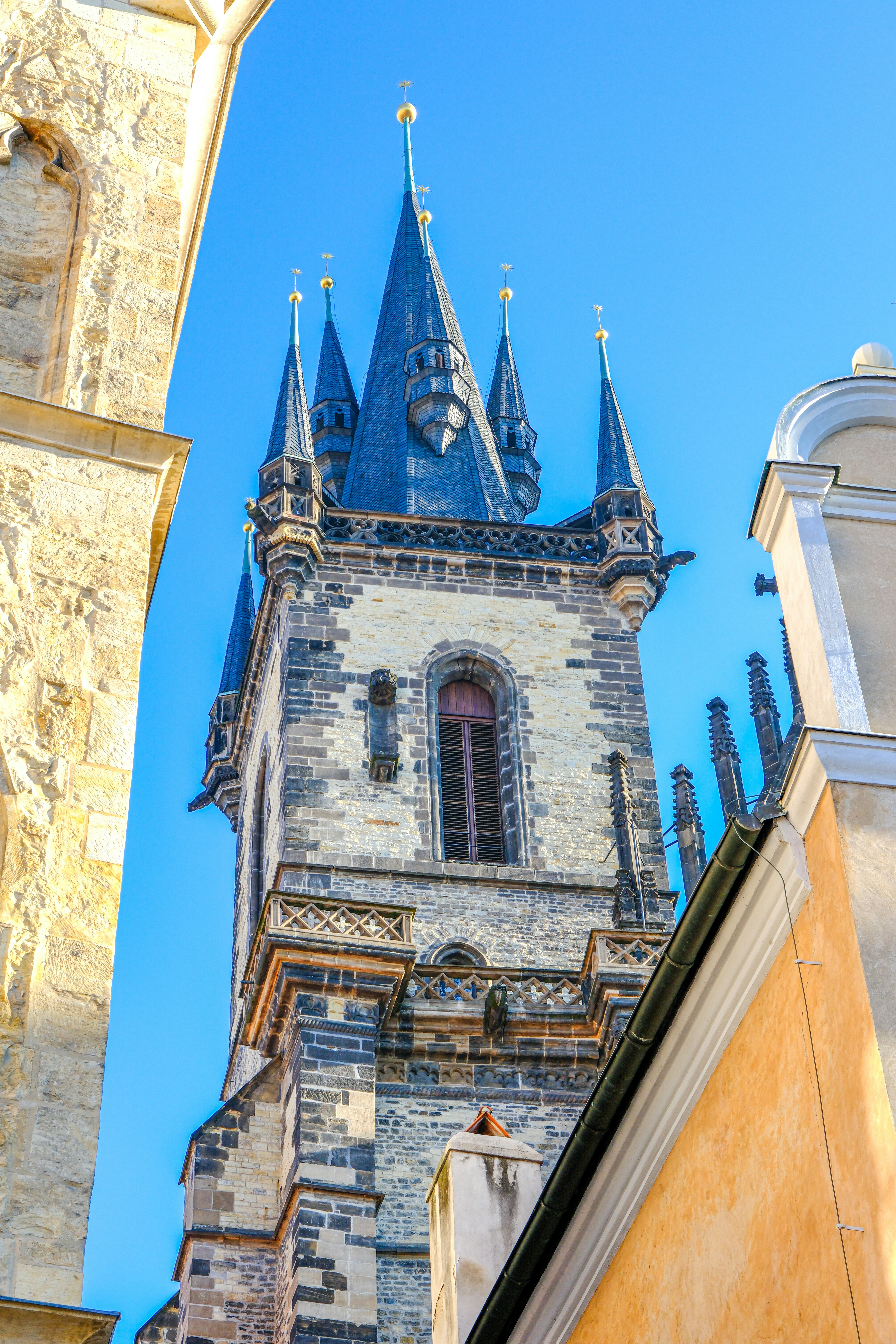 Photo by cestmoisheedy