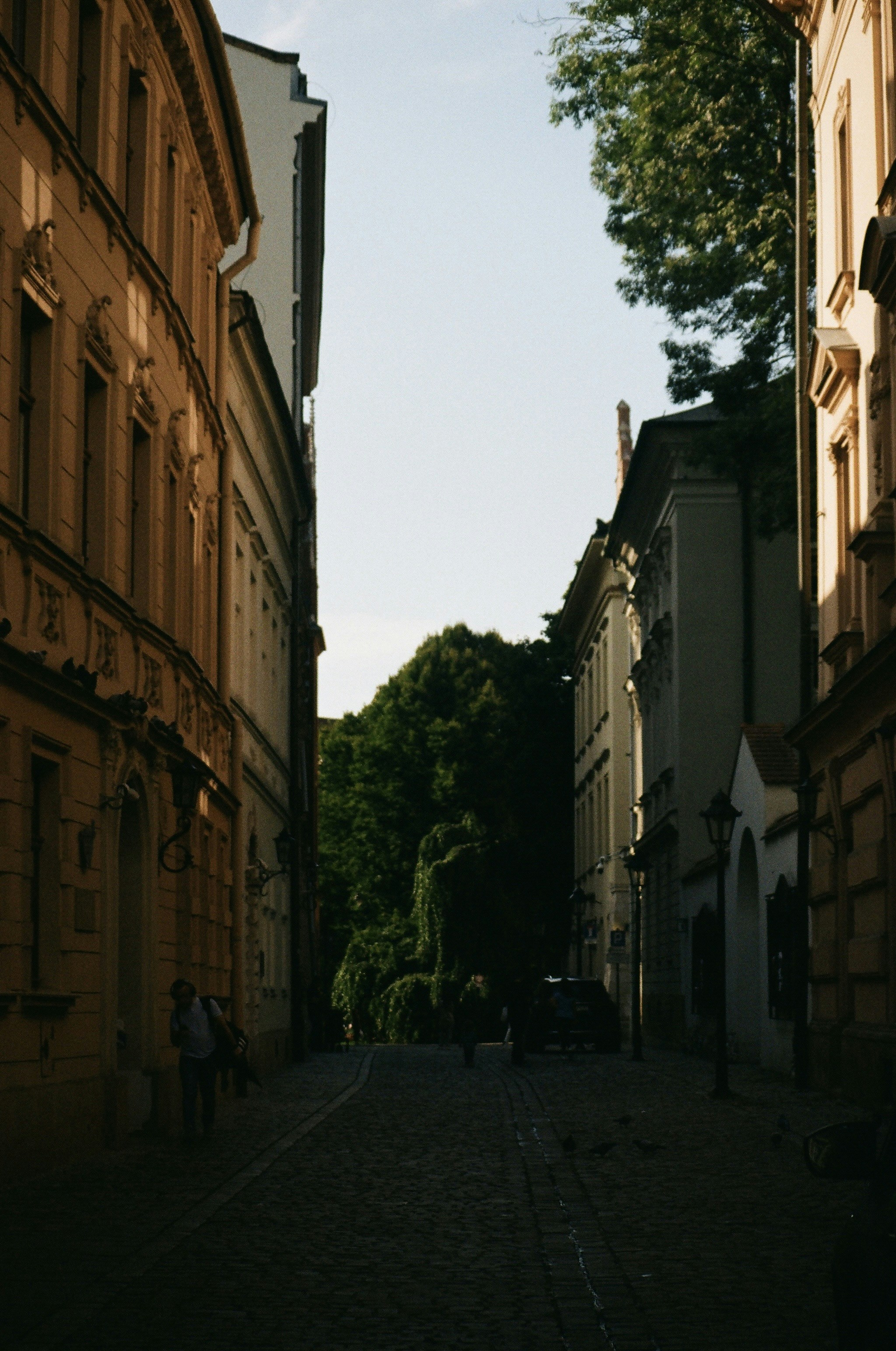 Photo by thesilvafocus